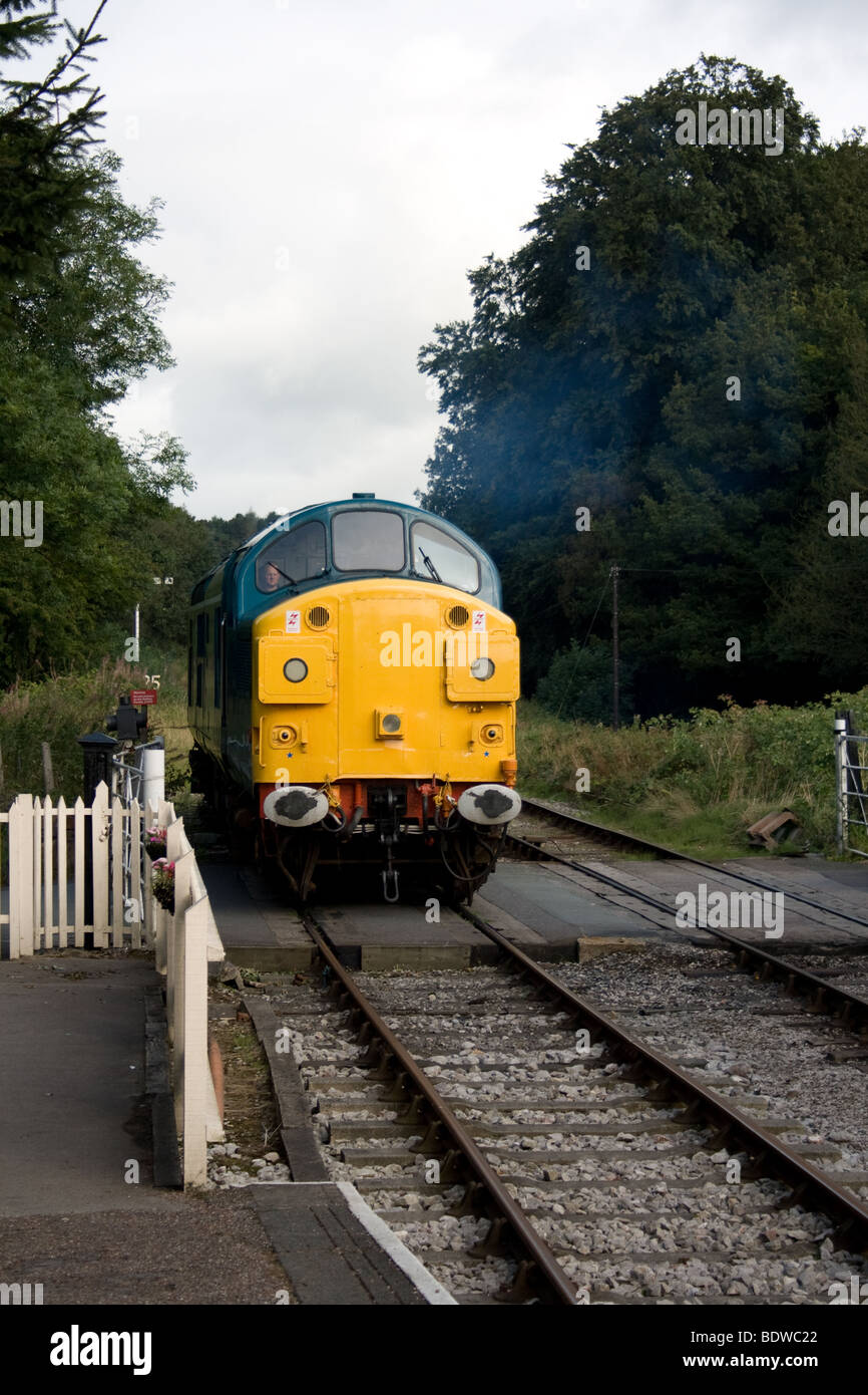 BR/EE Co-Co Class 37 Locomotive at Cheddleton Stock Photo