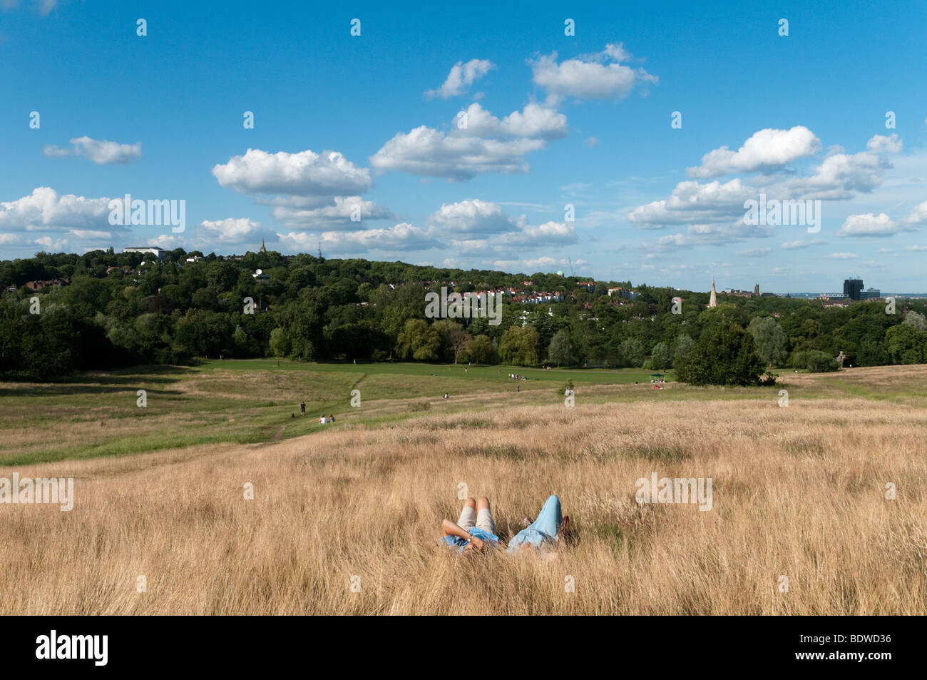 Couple relaxing in long grass on Hampstead Heath, London, England, UK Stock Photo