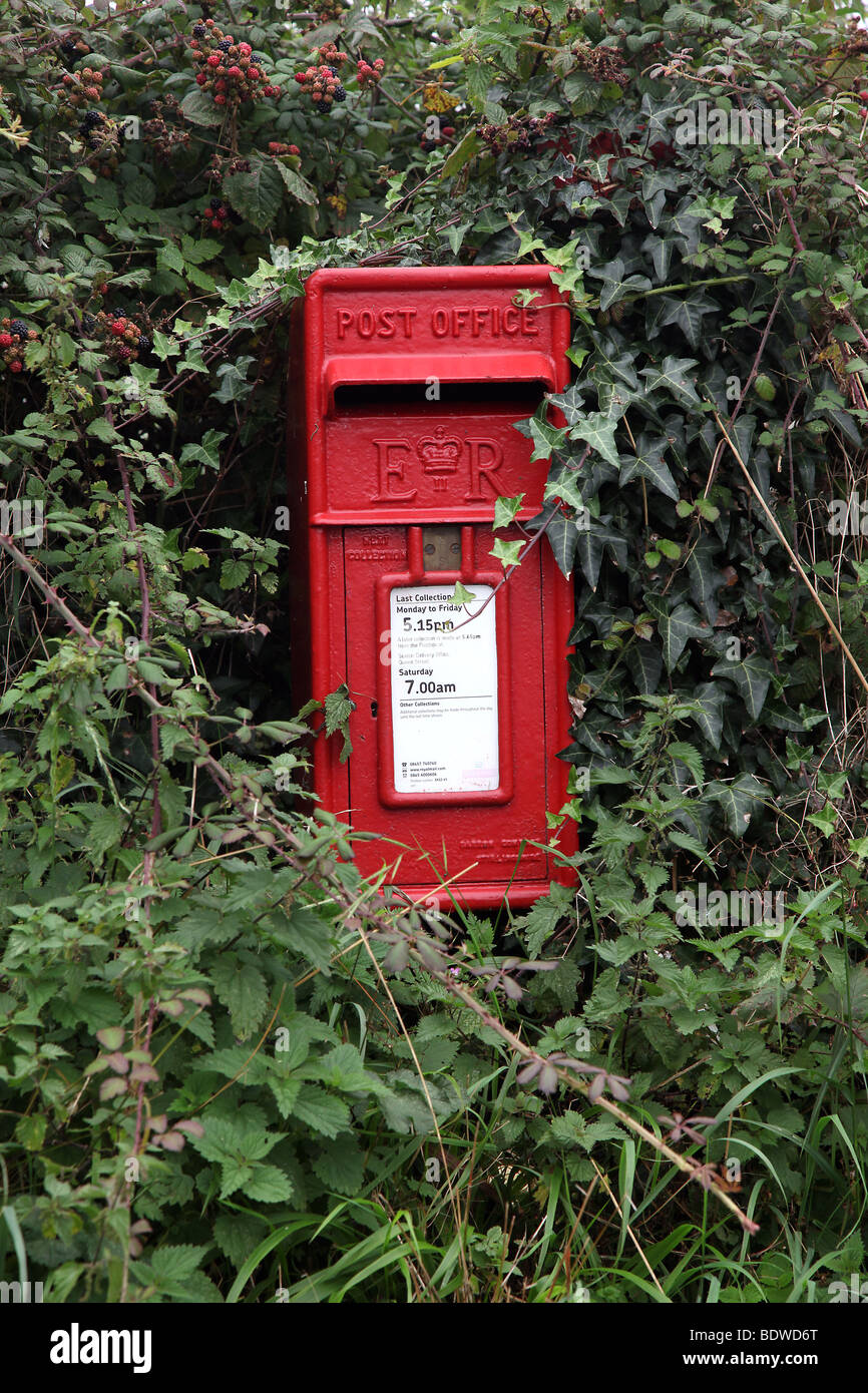 Picture by Mark Passmore. 05/09/2009. A generic picture of a red postbox overgrown by hedgerow. Stock Photo