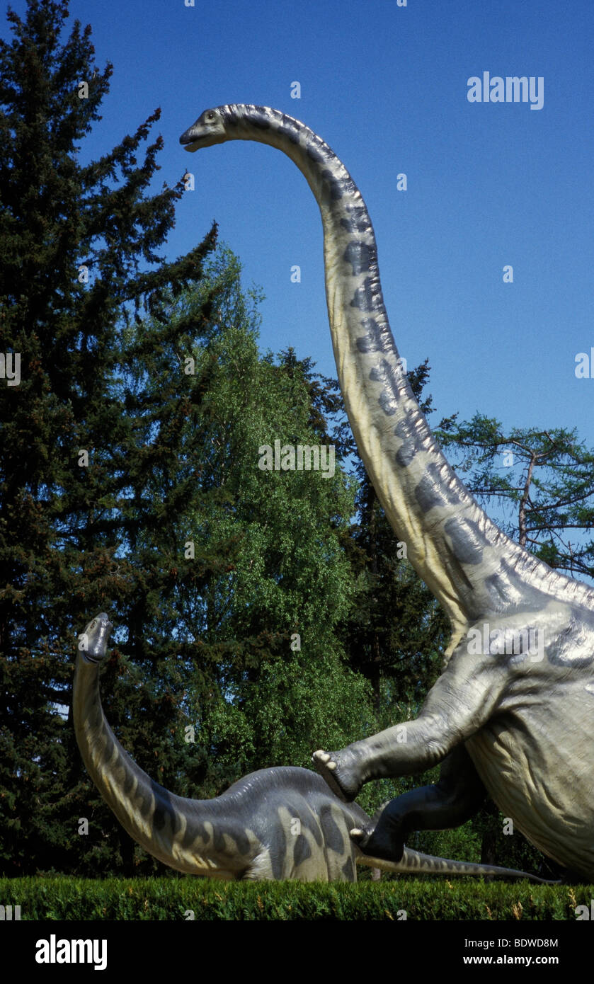 Umwelt Museum Hauff Holzmaden Germany Stock Photo - Alamy