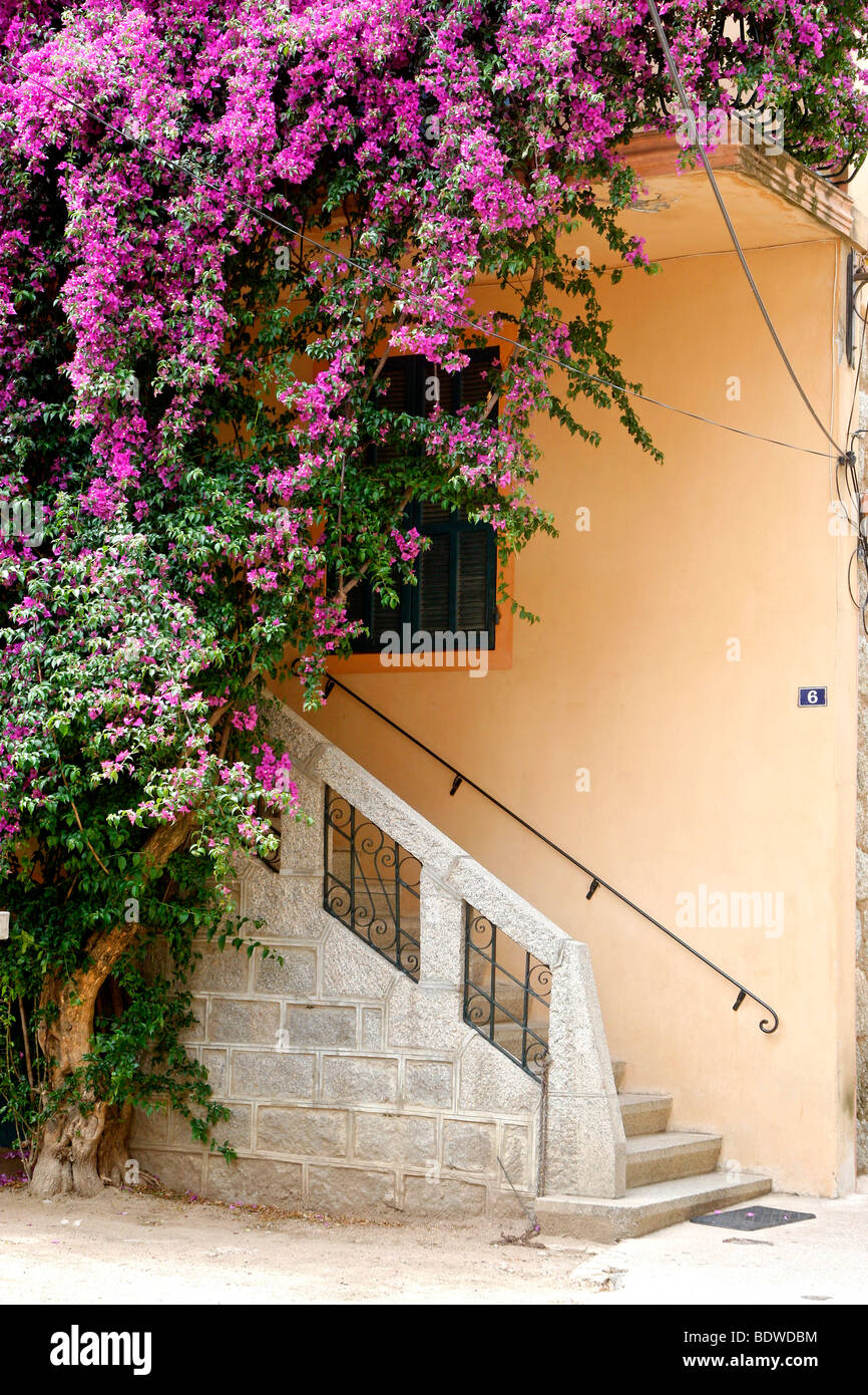 Stairs, Porto Vecchio, Corsica, France, Europe Stock Photo
