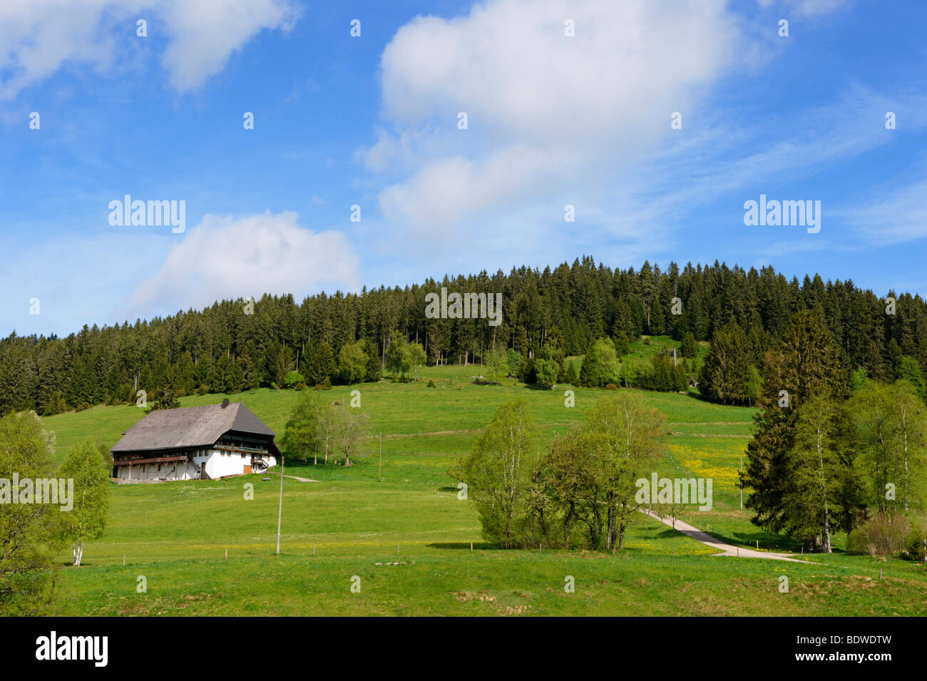 Farmhouse in the Hochschwarzwald Upper Black Forest near the Schluchsee lake, Black forest, Baden-Wuerttemberg, Germany, Europe Stock Photo