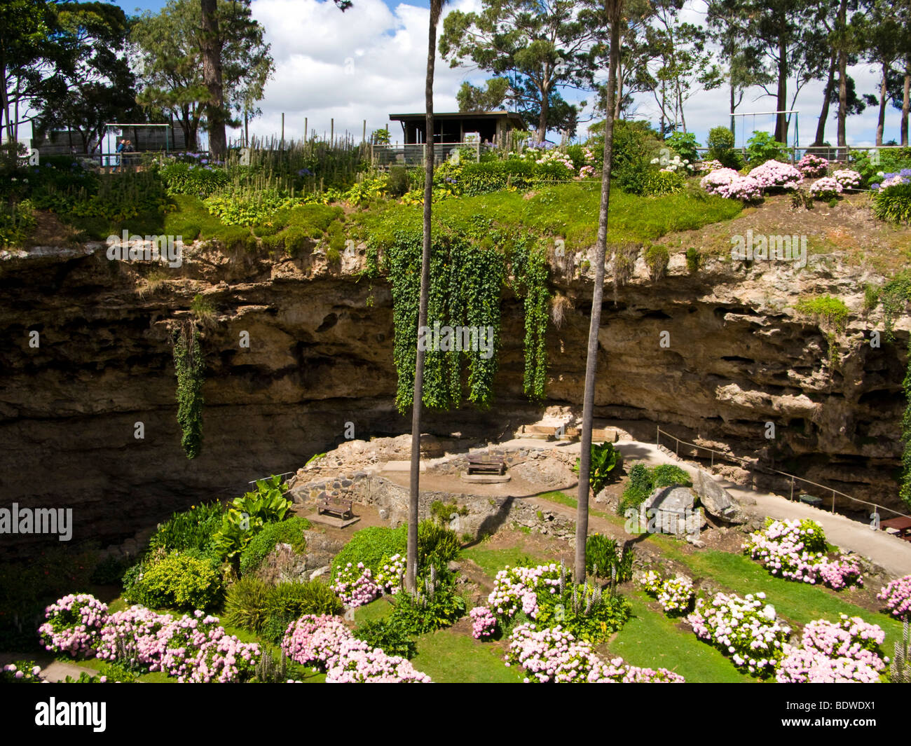 Umpherston Sinkhole Gardens, Mt Gambier, South Australia Stock Photo Alamy