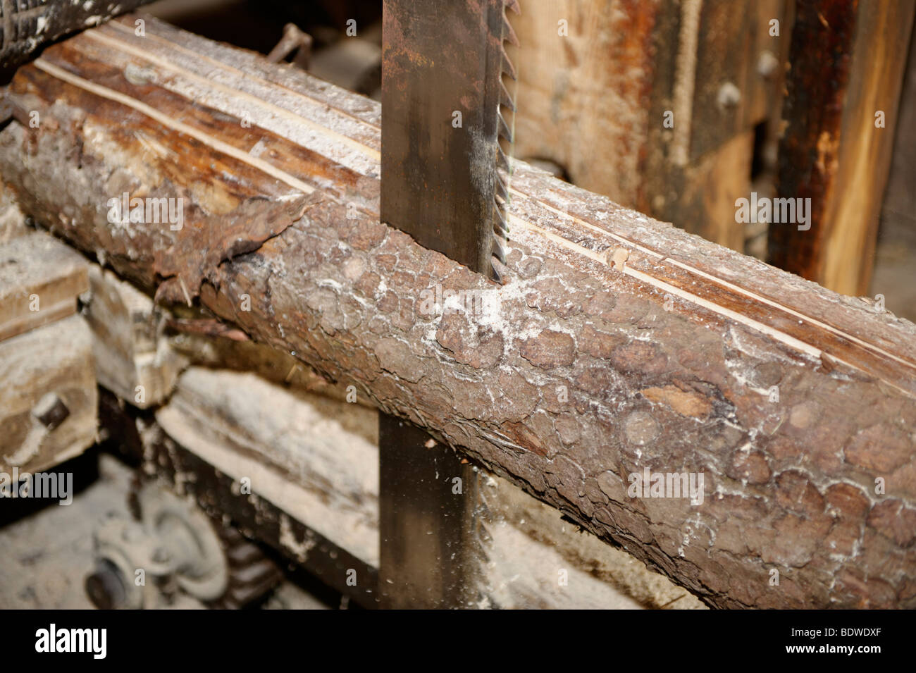 Historic saw, sawing of a tree trunk, rift saw, sawmill Stock Photo