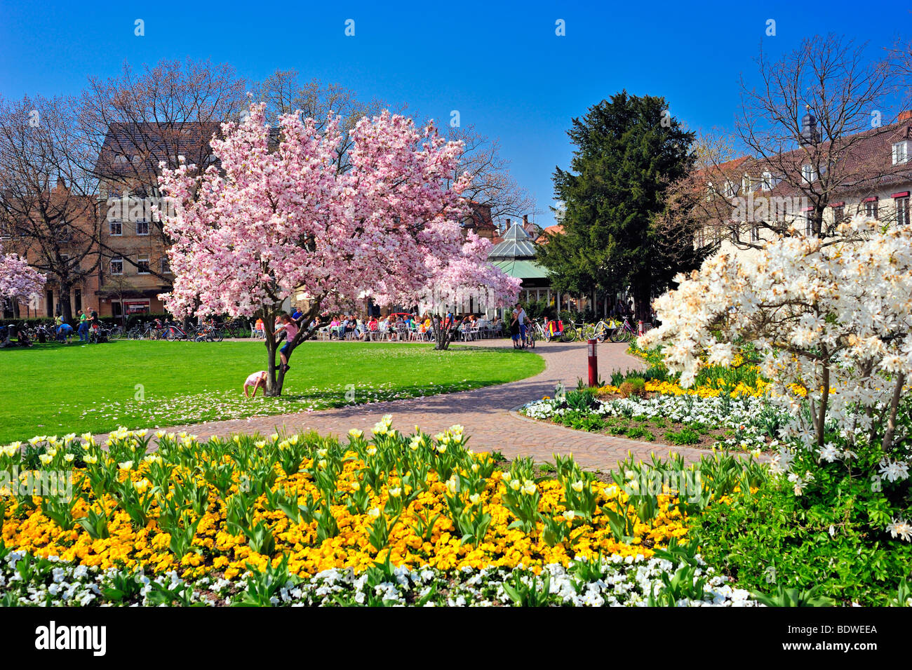City park, Ettlingen, Germany, Black Forest, Baden-Wuerttemberg, Germany, Europe Stock Photo