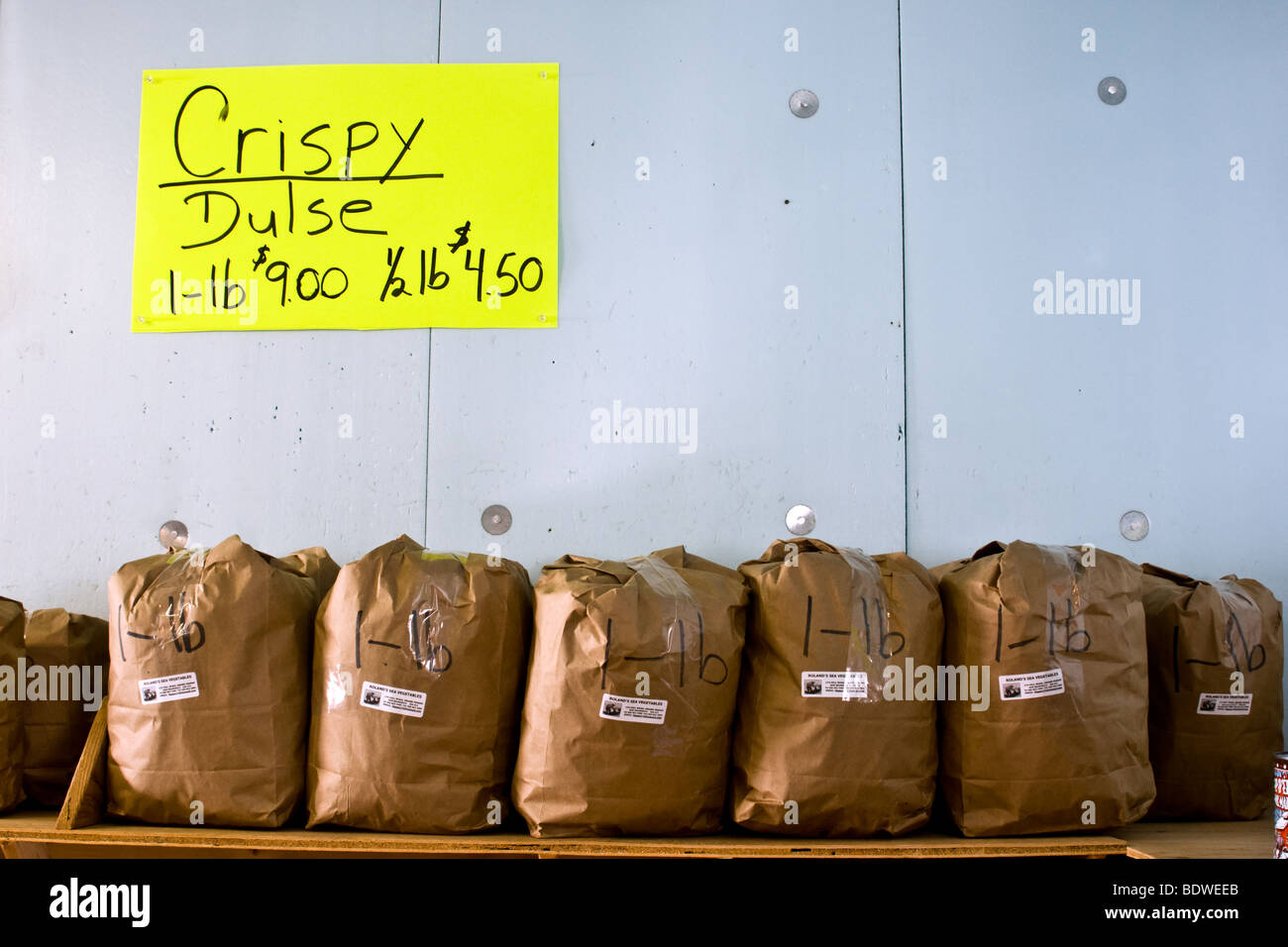 dulse Grand Manan New Brunswick Canada Stock Photo Alamy