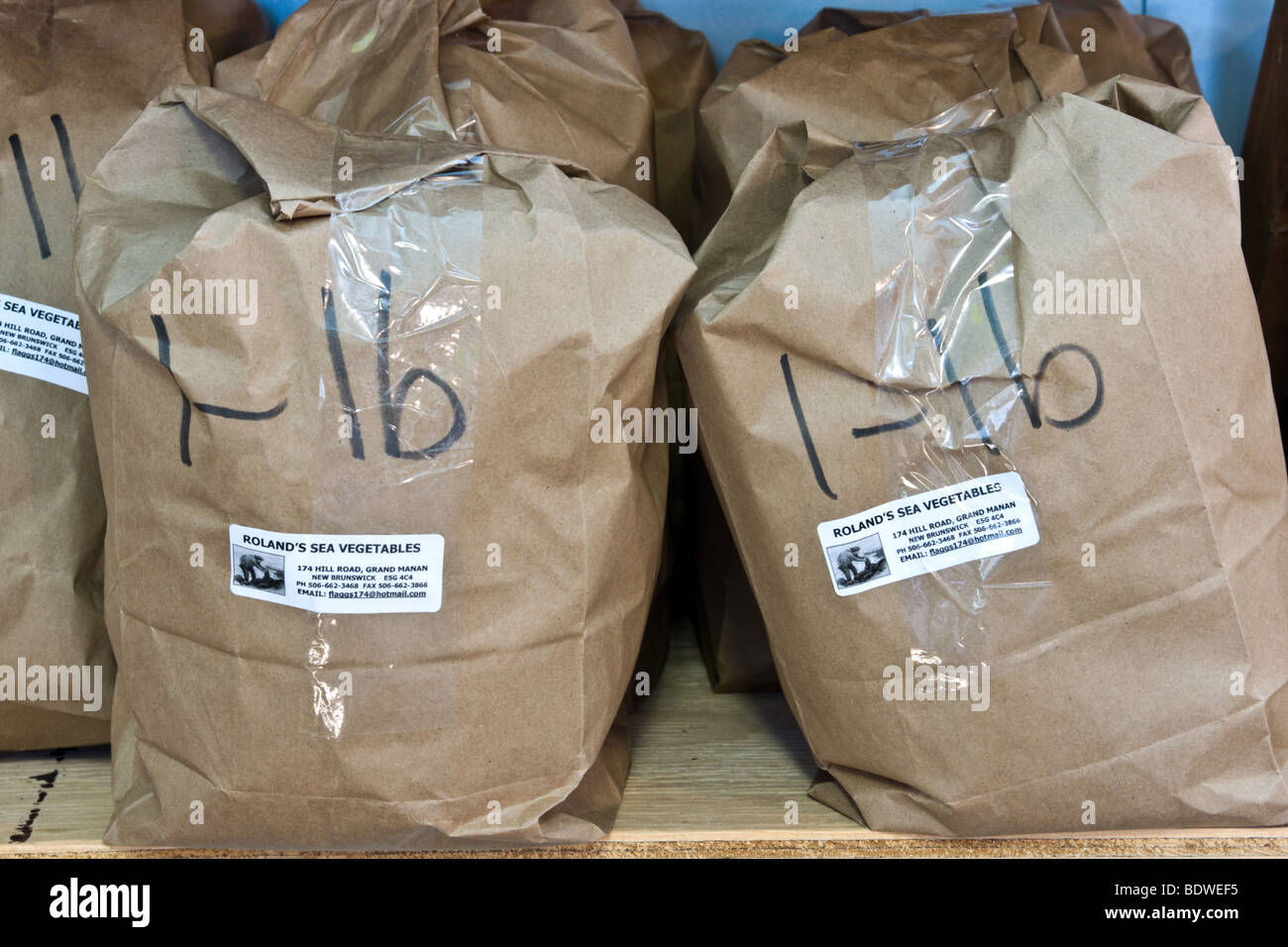 dulse Grand Manan New Brunswick Canada Stock Photo Alamy