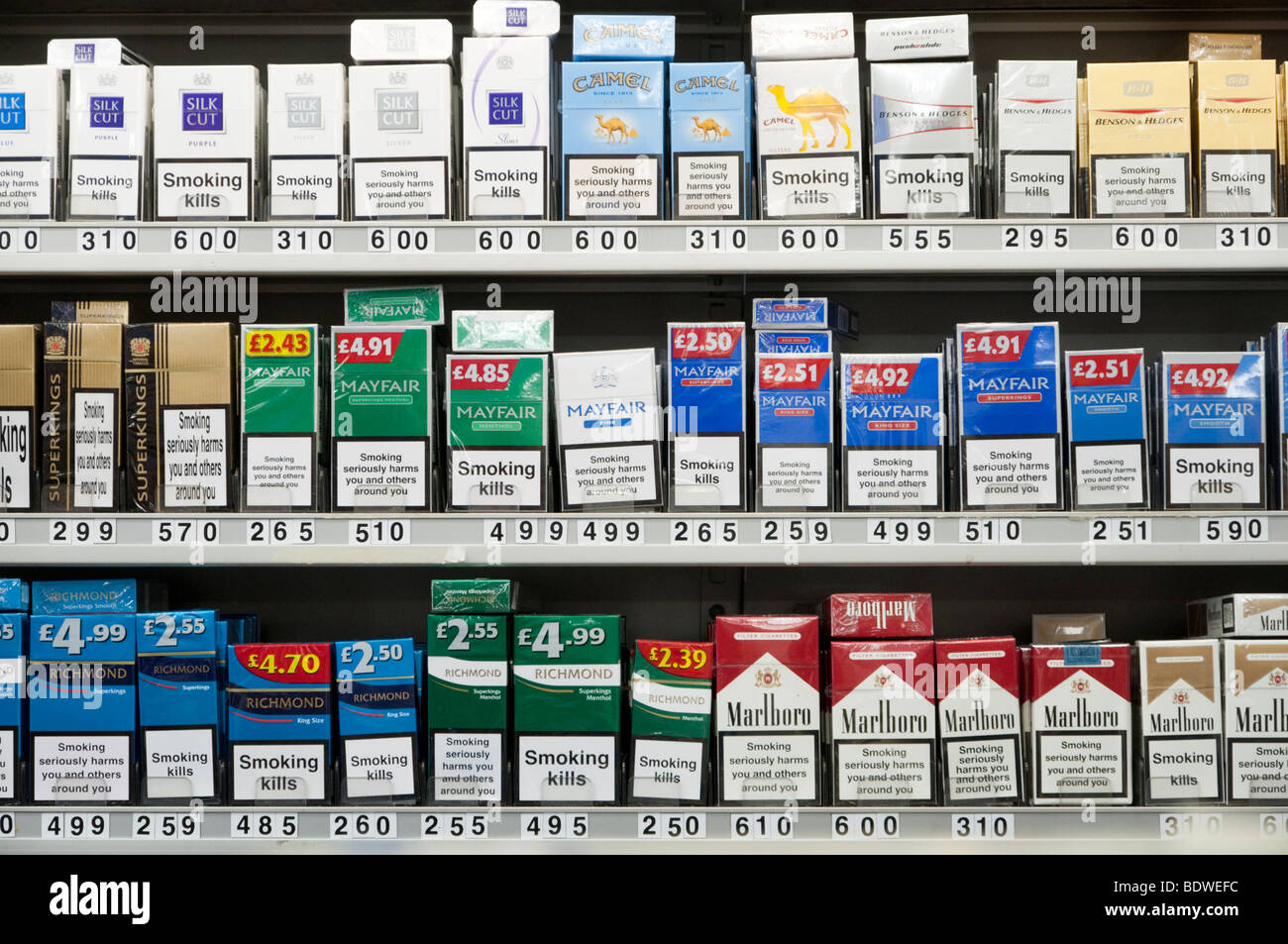 Cigarettes on display at tobacconists, England, UK Stock Photo