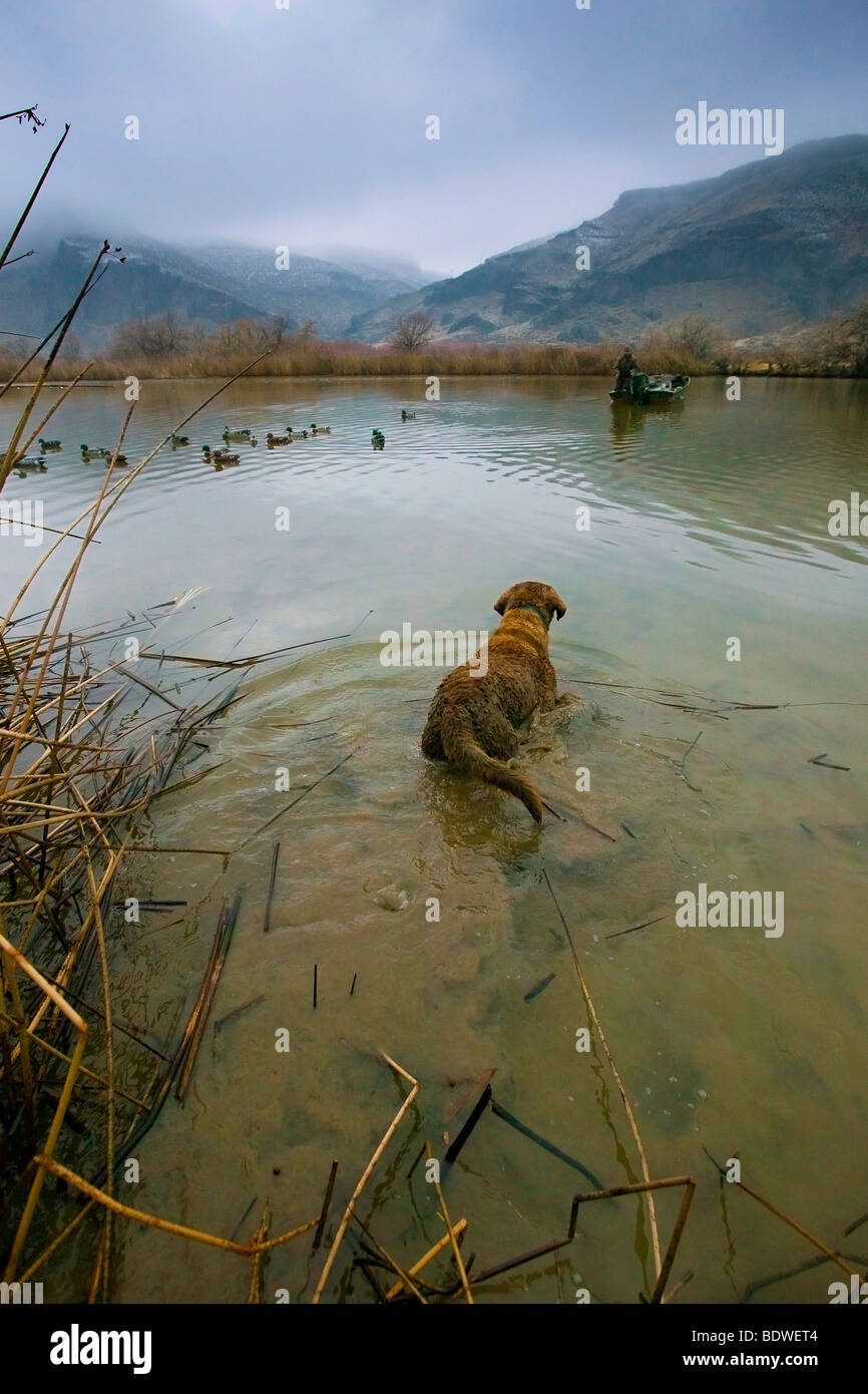 A man and his dog prepare to duck hunt in the Snake River Canyon