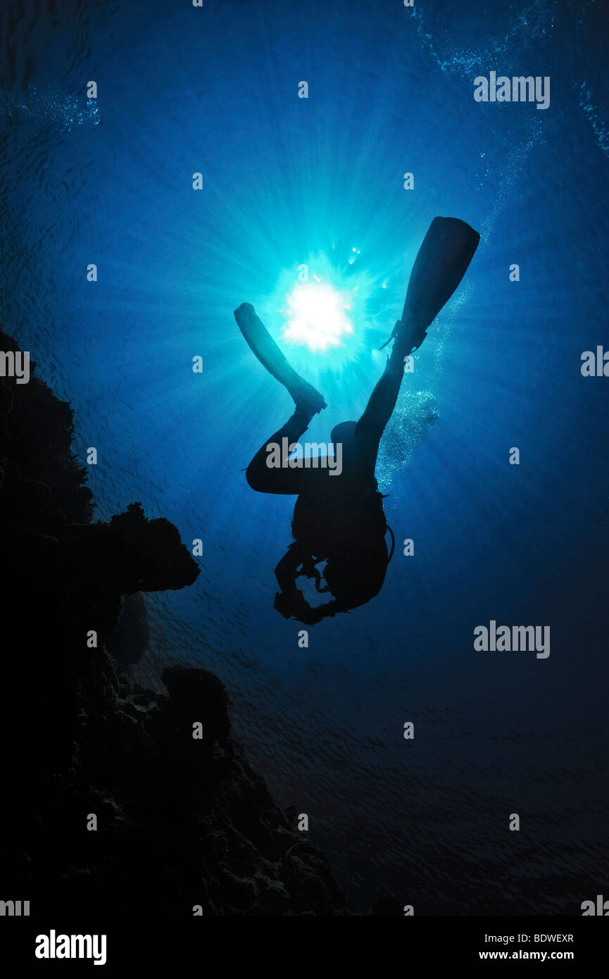 Diver in backlighting, Amed, Bali, Indonesia, Southeast Asia Stock Photo