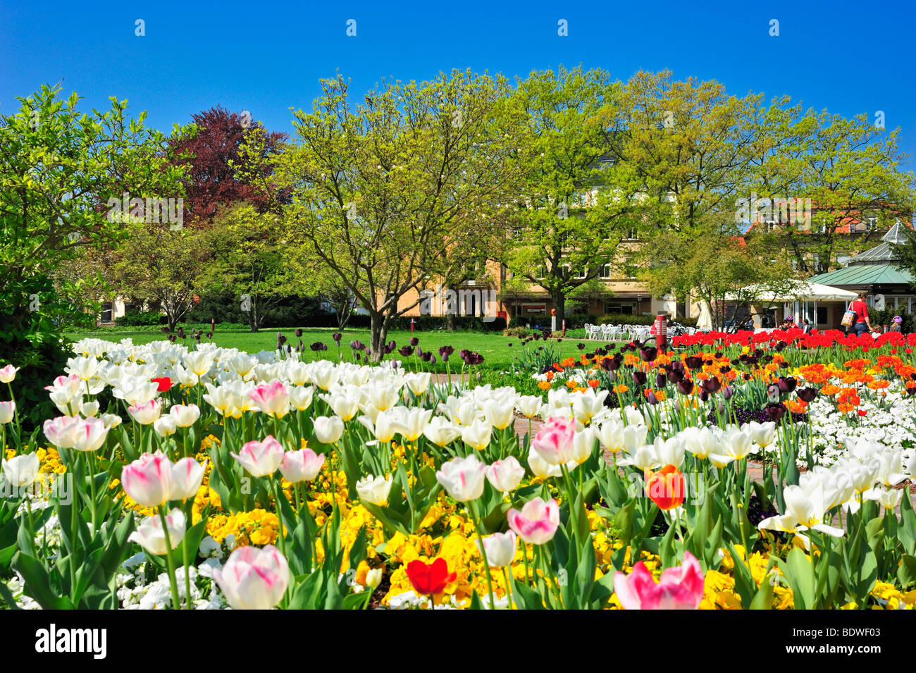 City park, Ettlingen, Germany, Black Forest, Baden-Wuerttemberg, Germany, Europe Stock Photo