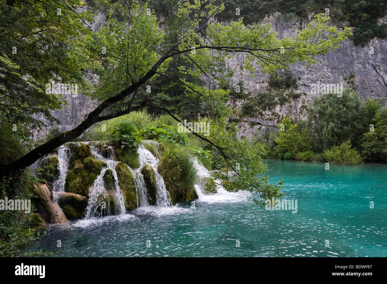 Small waterfall in the cascade landscape of the Plitvice Lakes, Plitvice Lakes National Park, Croatia, Europe Stock Photo