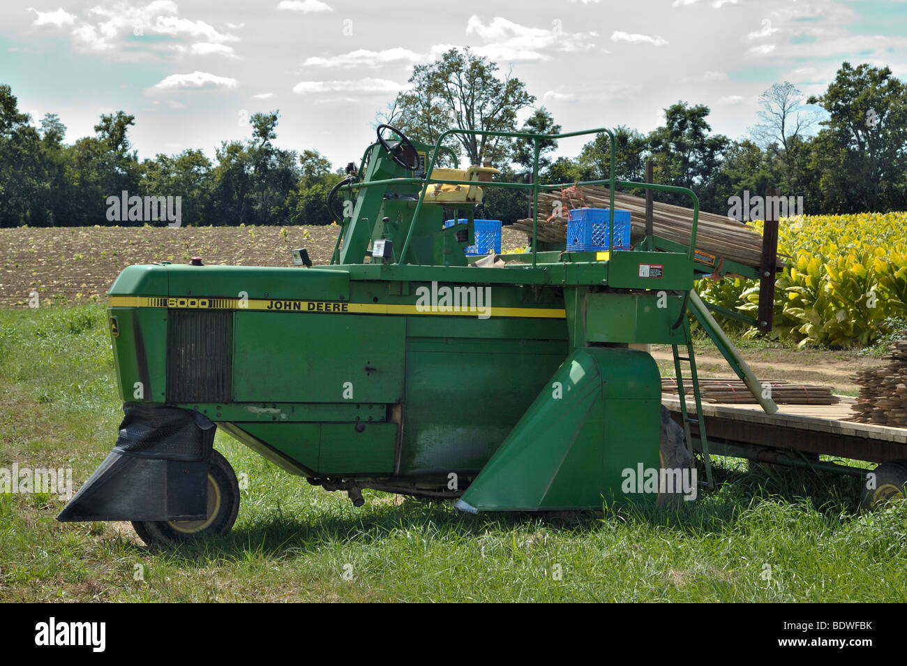 burley tobacco harvester harvesting machine - M20 - Somaref Why burley tobacco has worked
