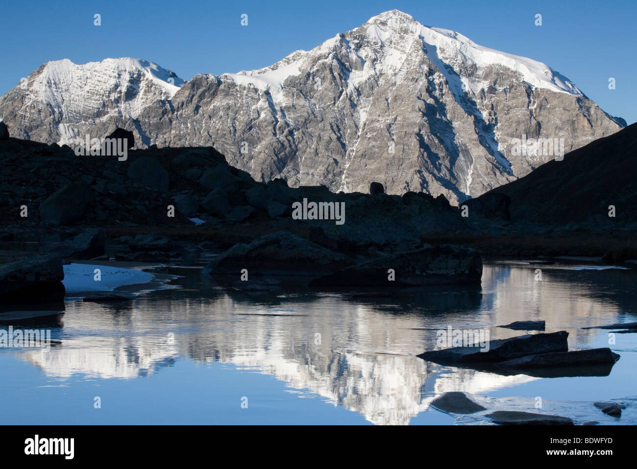 Mt. Ortler reflected in a mountain stream, Sulden, Ortler mountain range, Stelvio National Park, South Tyrol, Italy, Europe Stock Photo