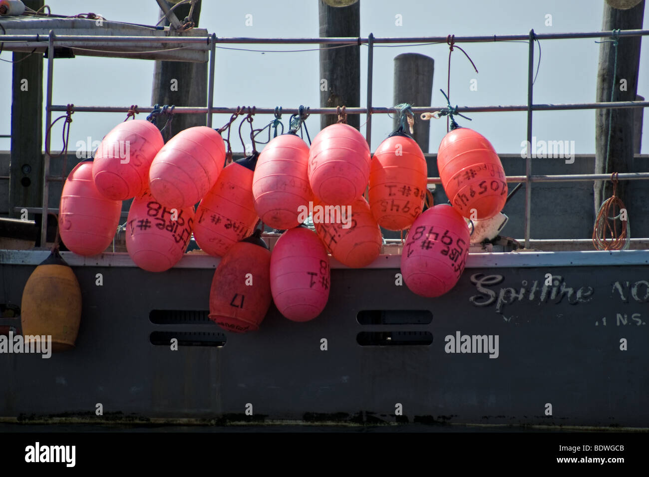 Grand Manan scenics New Brunswick Canada Stock Photo Alamy