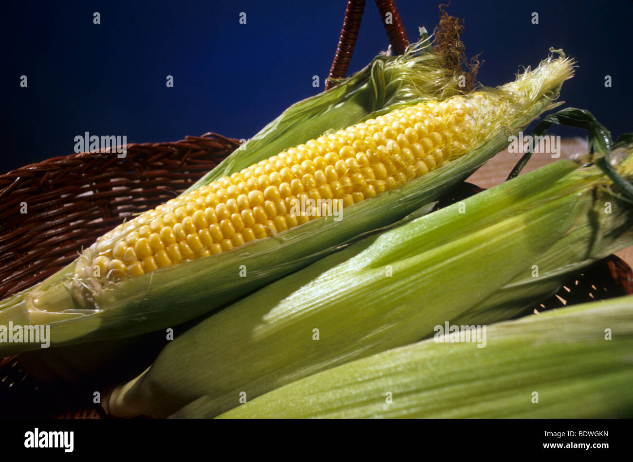 husk silk fresh vegetable veggies kernels Stock Photo