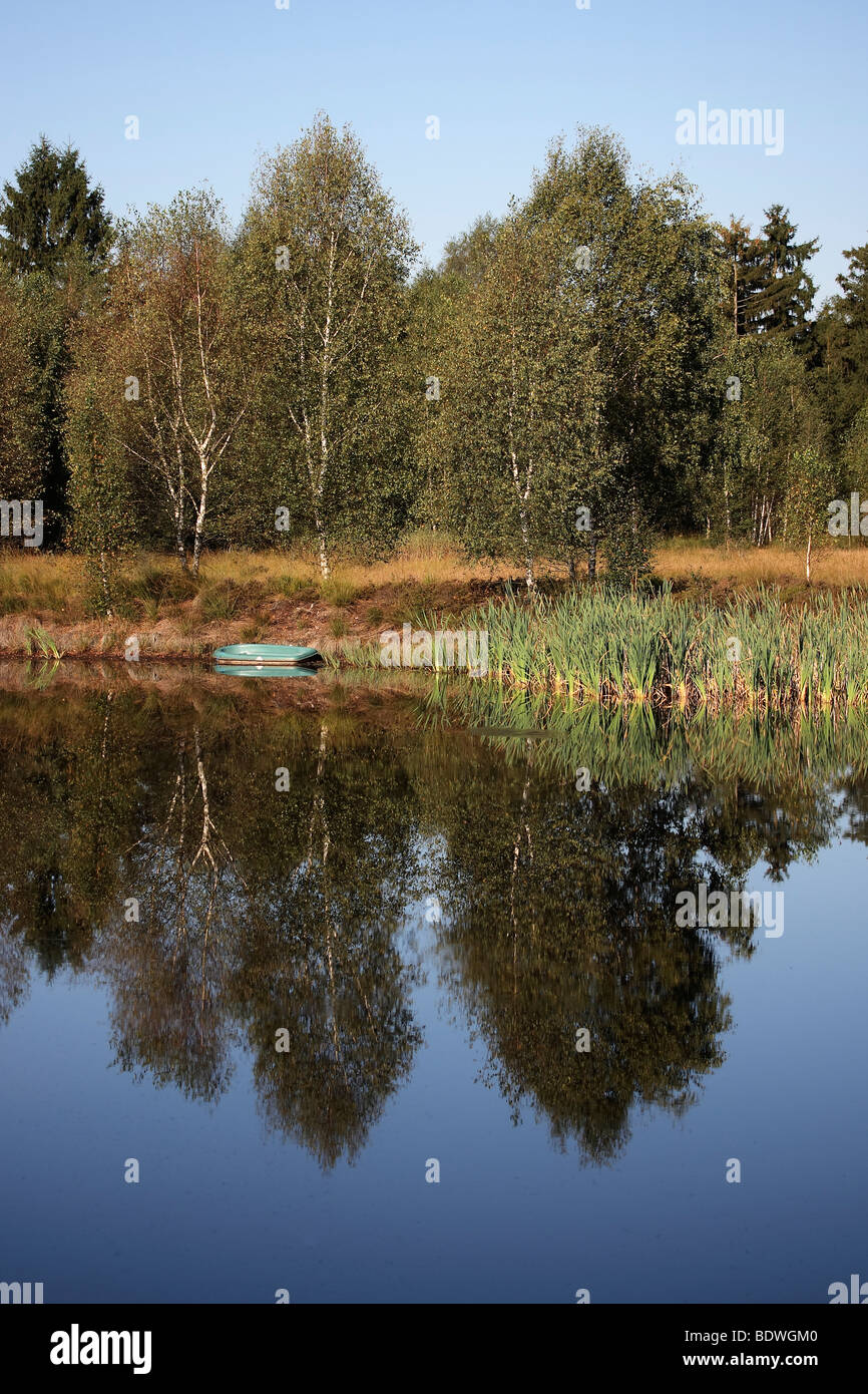Reed landscape with pond in Upper Swabia, Baden-Wuerttemberg, Germany, Europe Stock Photo