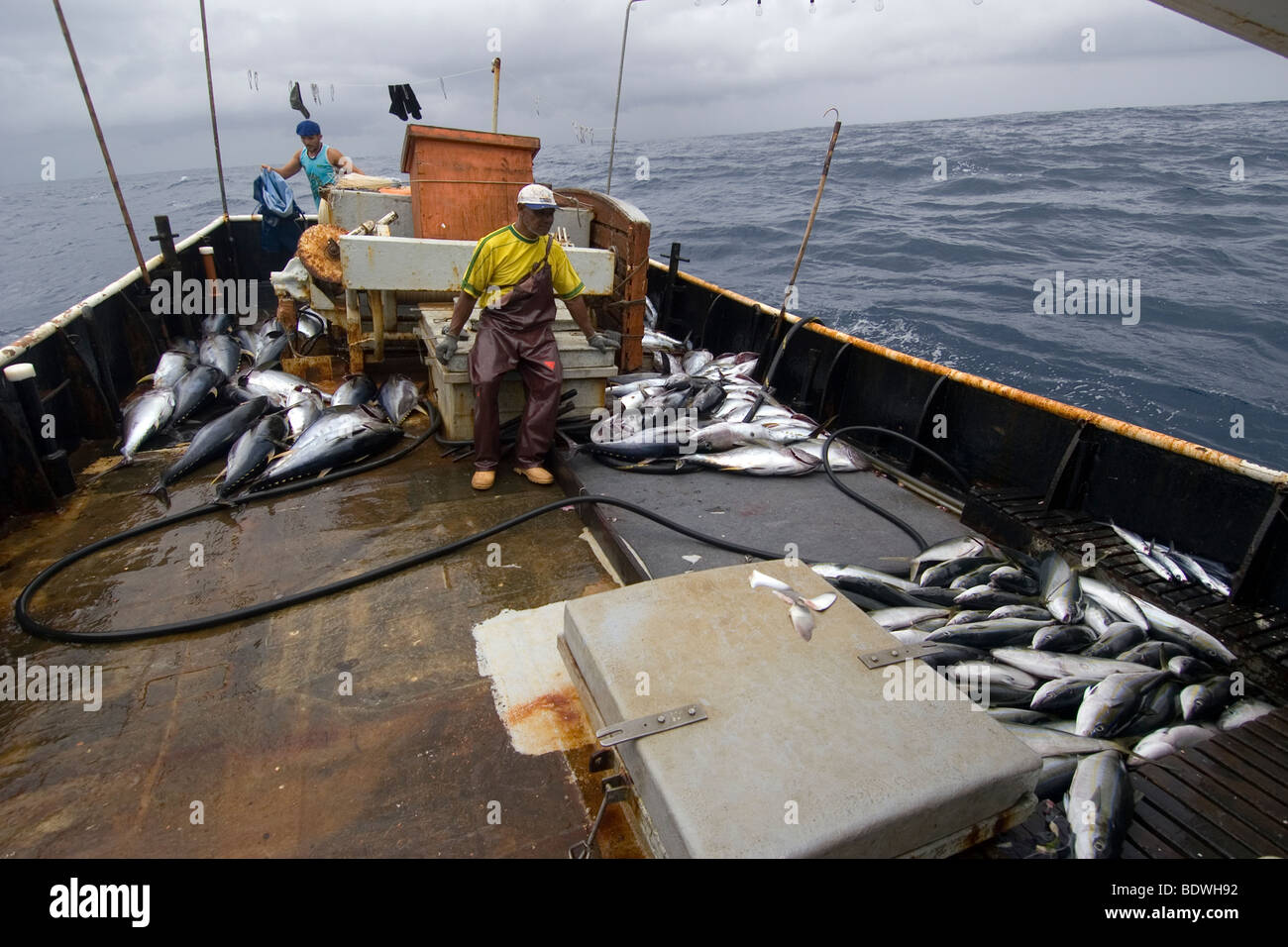 Offshore commercial longline tuna fishing, Brazil, Atlantic Ocean Stock