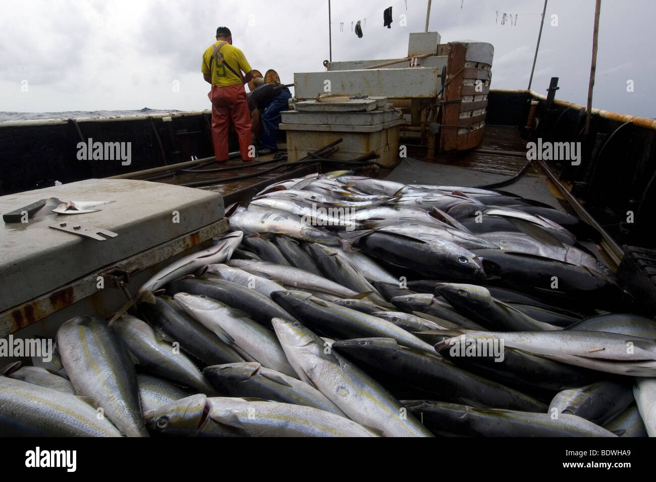 Offshore commercial longline tuna fishing, Brazil, Atlantic Ocean Stock