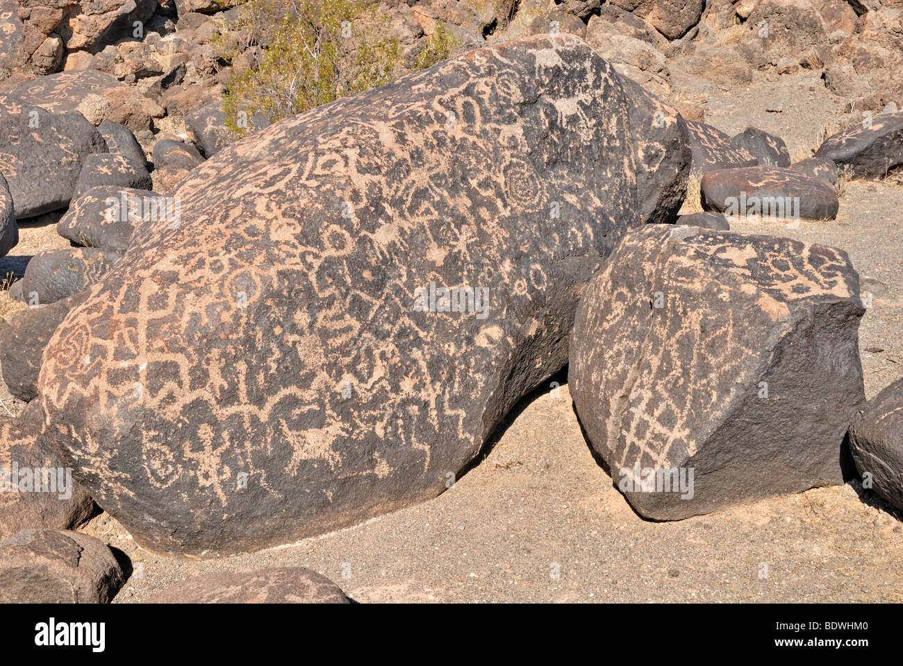 Historic Native American engravings from various cultural eras, petroglyphs, animal depictions, Painted Rock Petroglyph Site, P Stock Photo