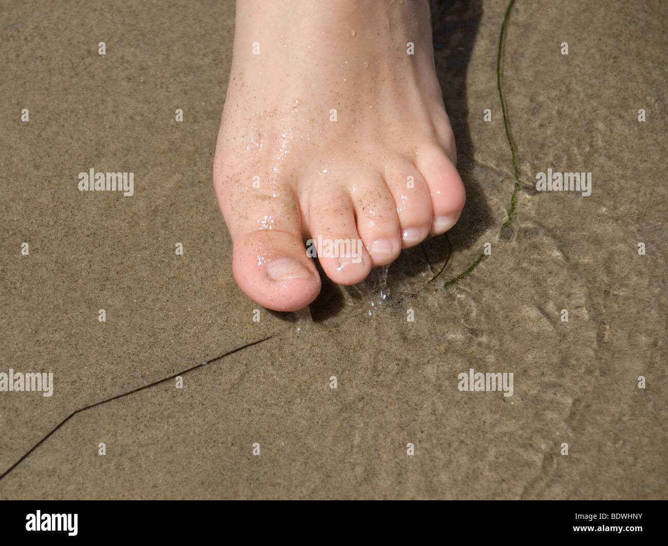 California beach feet