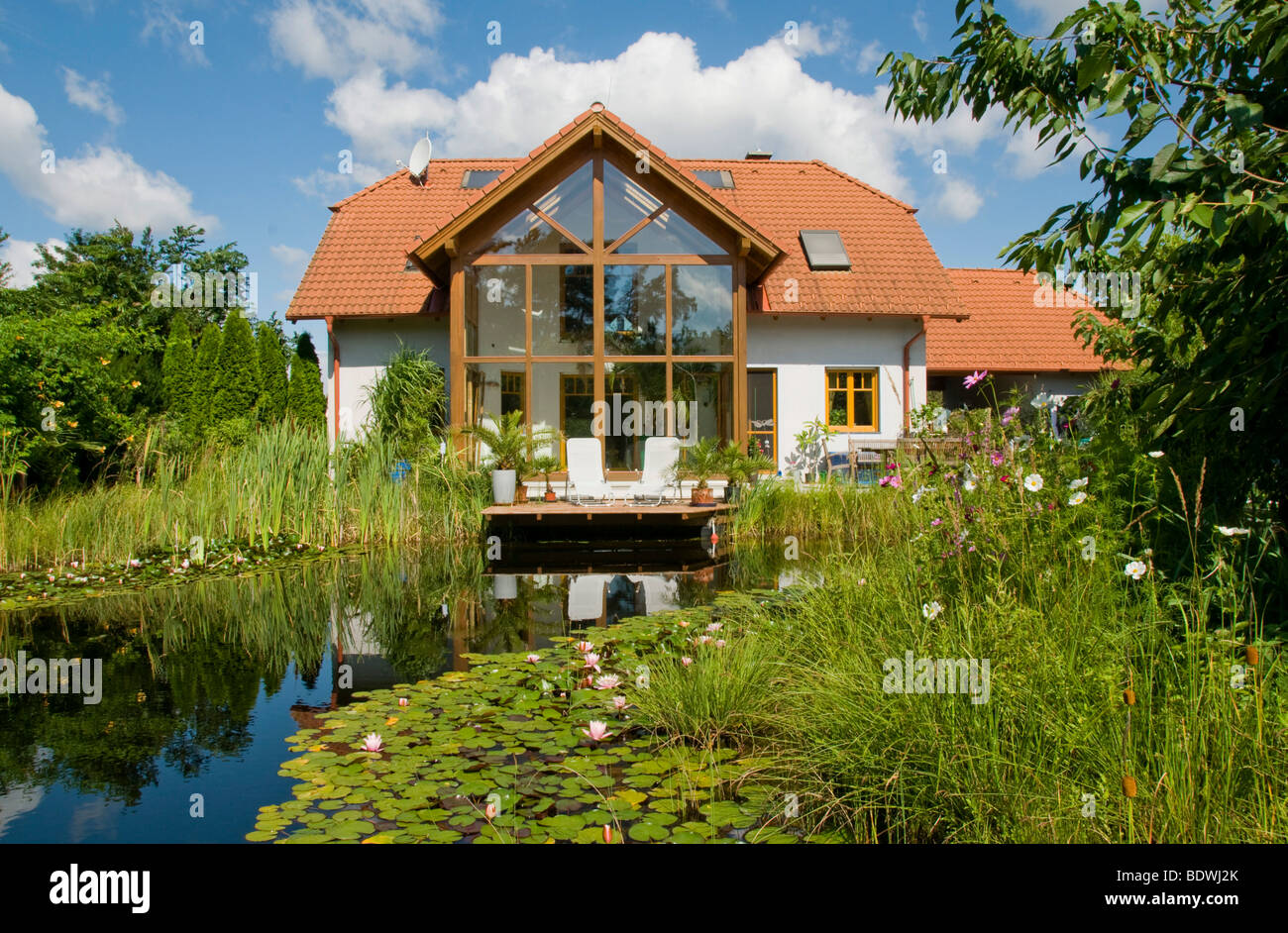 Garden pond with water lilies, in front of house with winter garden, in summer Stock Photo