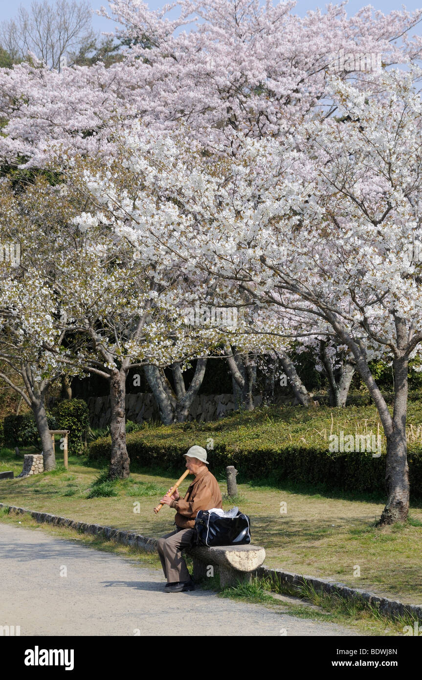 Japanese man playing a shakuhachi, a traditional bamboo flute, outdoors