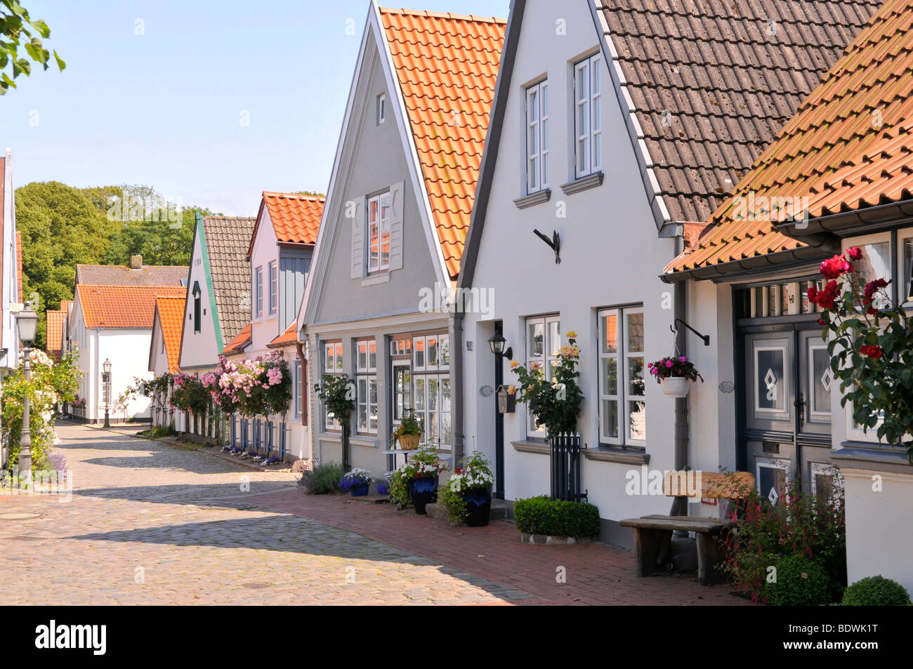 Old houses in the fishing village of Holm, Schleswig, Schleswig