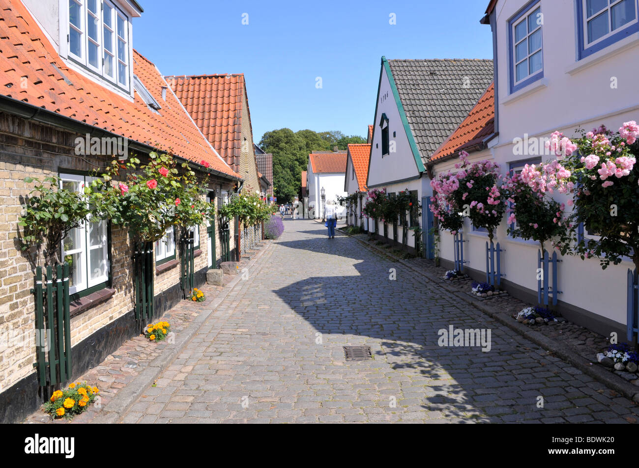 Old houses in the fishing village of Holm, Schleswig, Schleswig
