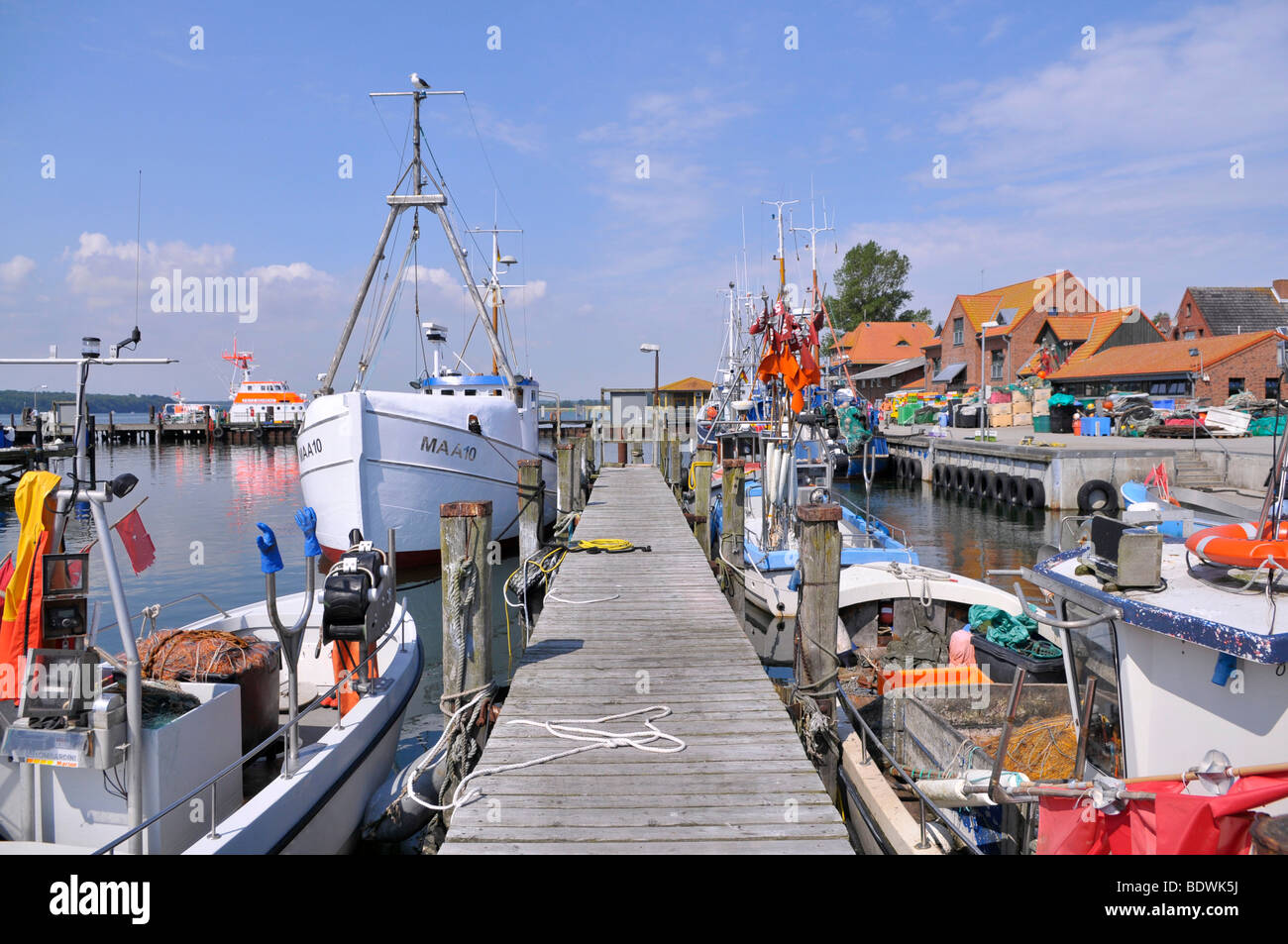 Baltic Sea port Maasholm, Schlei estuary, Schleswig-Holstein, northern Germany, Germany, Europe Stock Photo