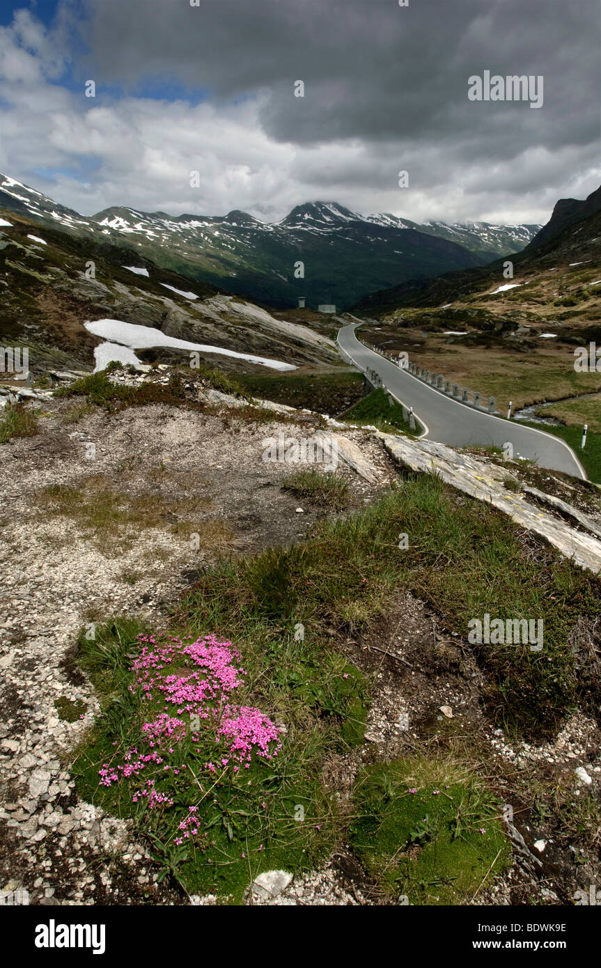 Mountain pass at San Bernadino Pass, Grisons, Switzerland, Europe Stock Photo