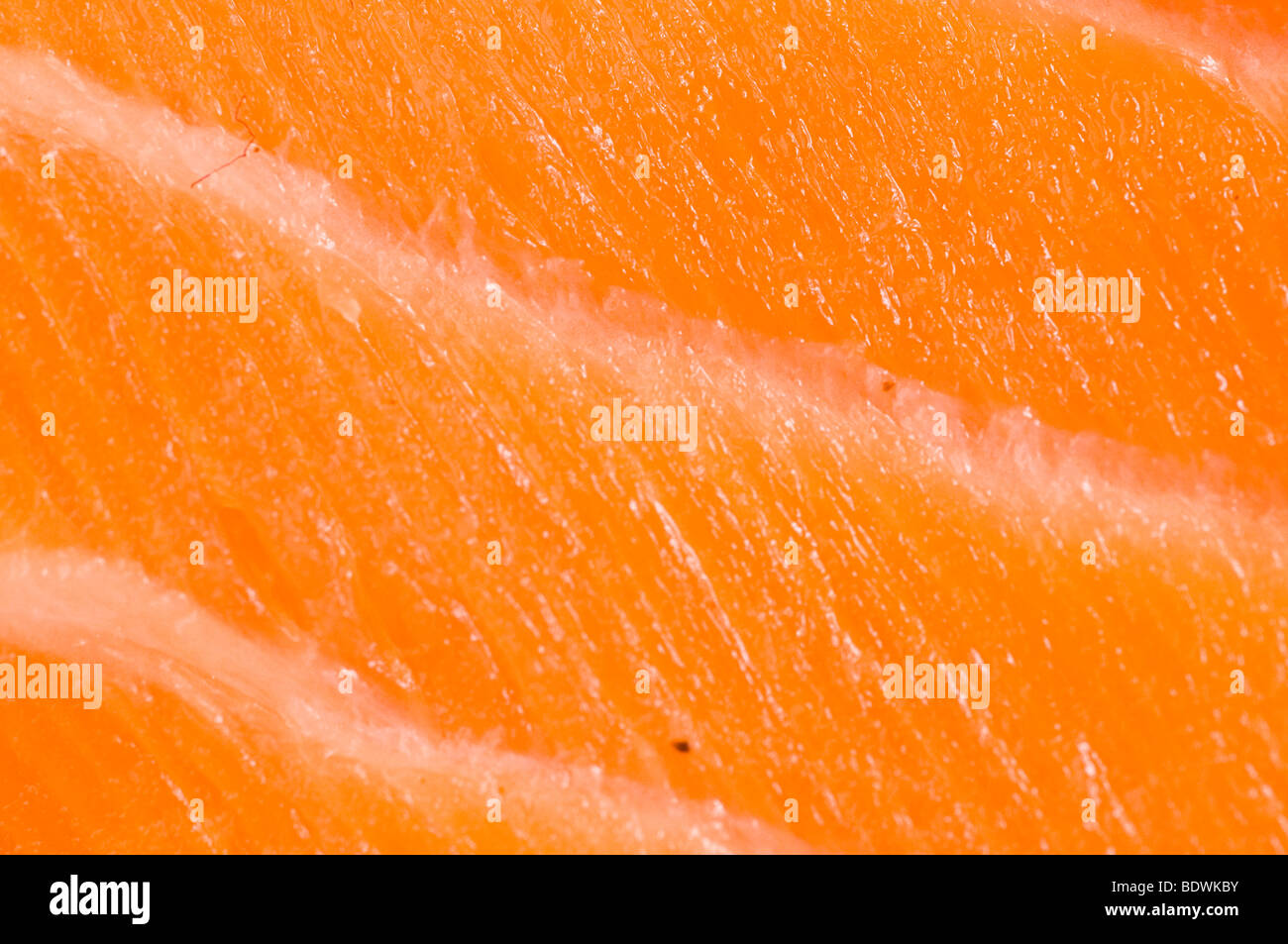 Raw Salmon Fish Fillet Stock Photo
