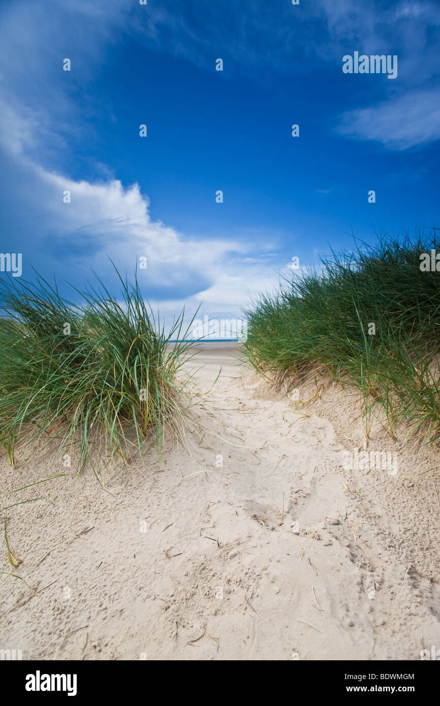 Sand dunes of Holkham Beach in Norfolk, England Stock Photo