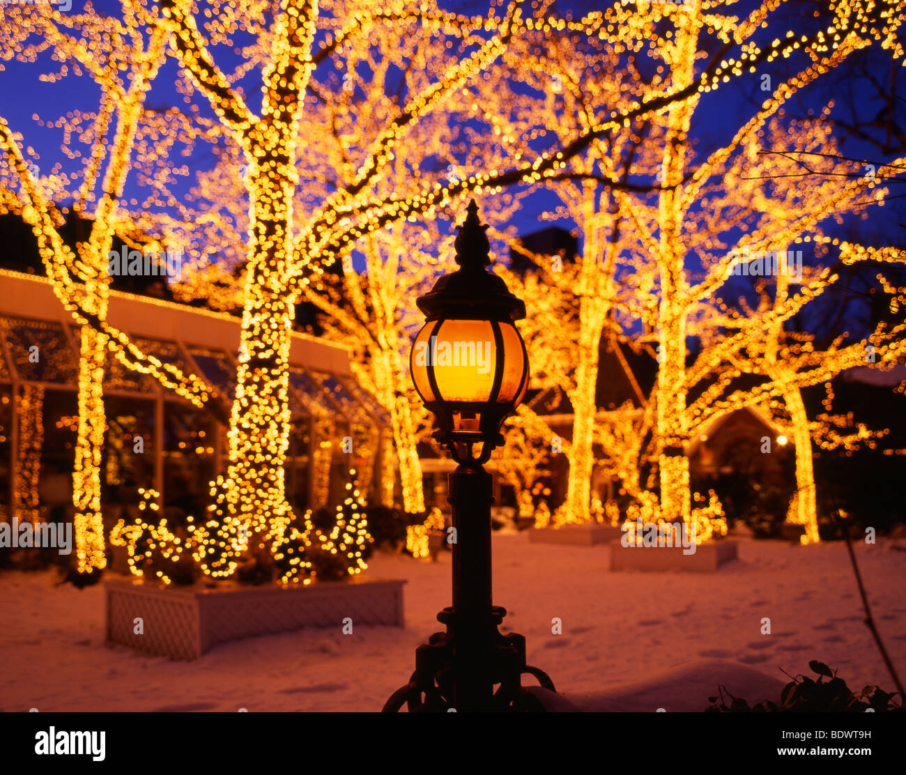 Central Park Christmas Time High Resolution Stock Photography and ...
