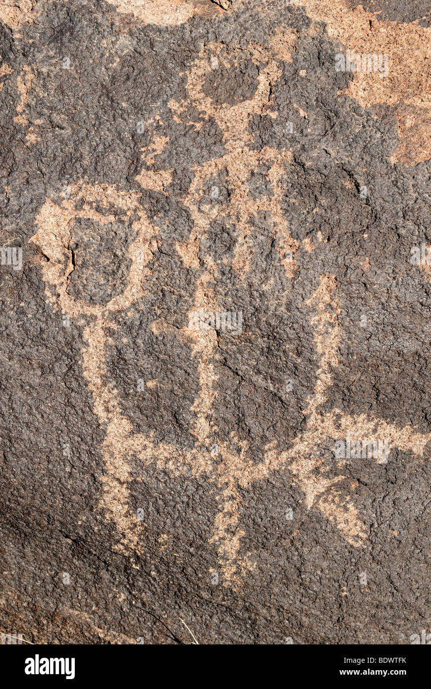 Historic Native American engravings, petroglyphs, animal and human depictions, Painted Rock Petroglyph Site, Painted Rocks Stat Stock Photo