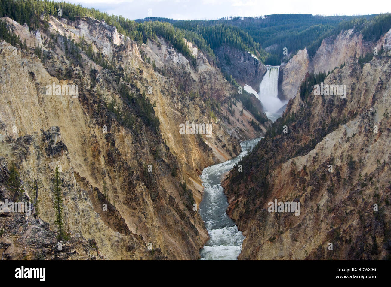 Lower Falls on the Yellowstone River at the Grand Canyon, Wyoming, USA Stock Photo