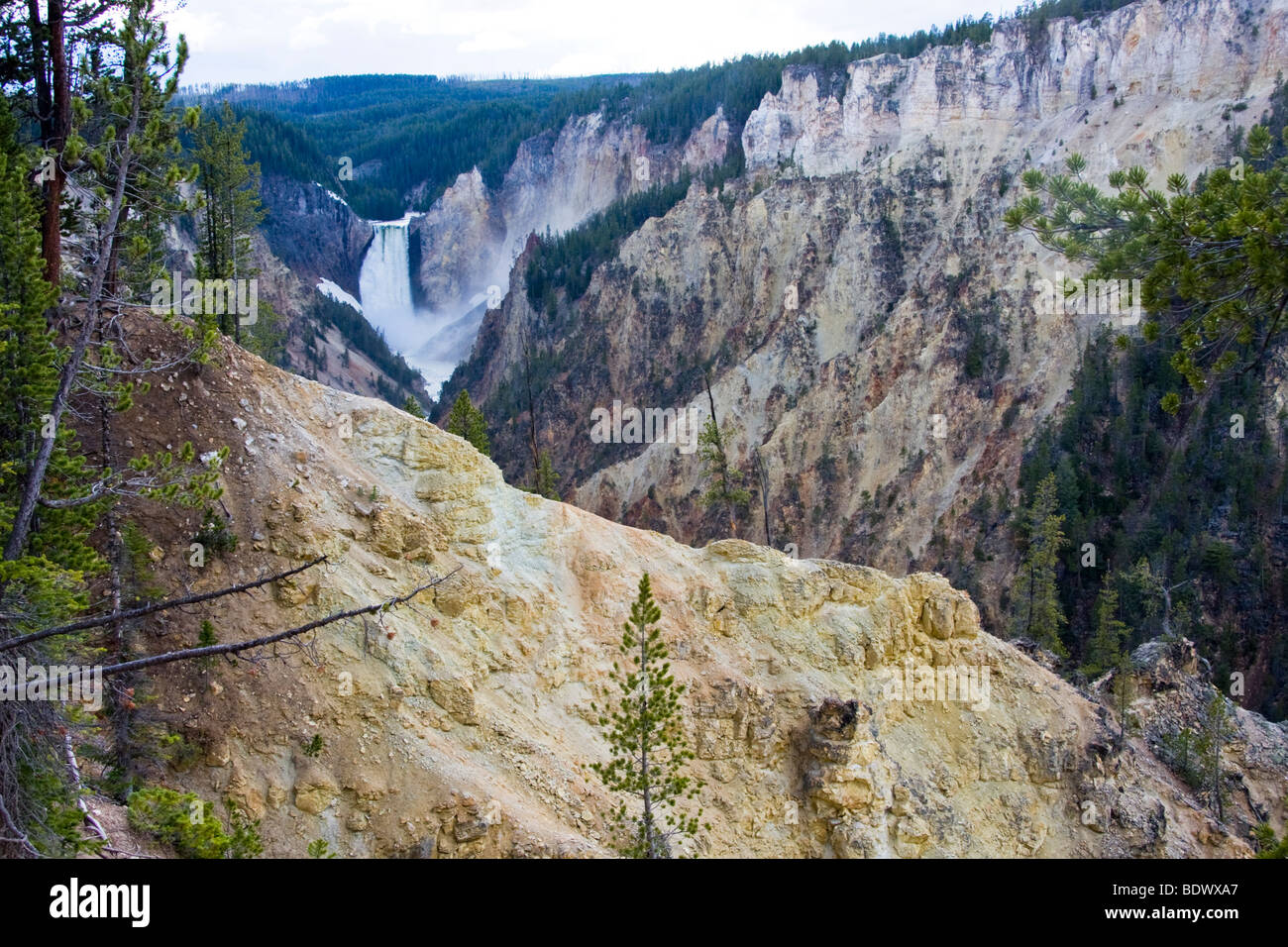 The Lower Falls of the Yellowstone River at the Grand Canyon, Wyoming, USA Stock Photo