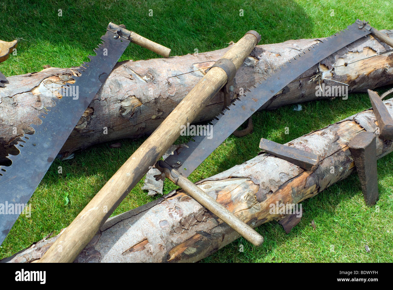 A selection of old tree cutting tools, as used by the British Army during World War One,displayed on top of  a couple of logs Stock Photo