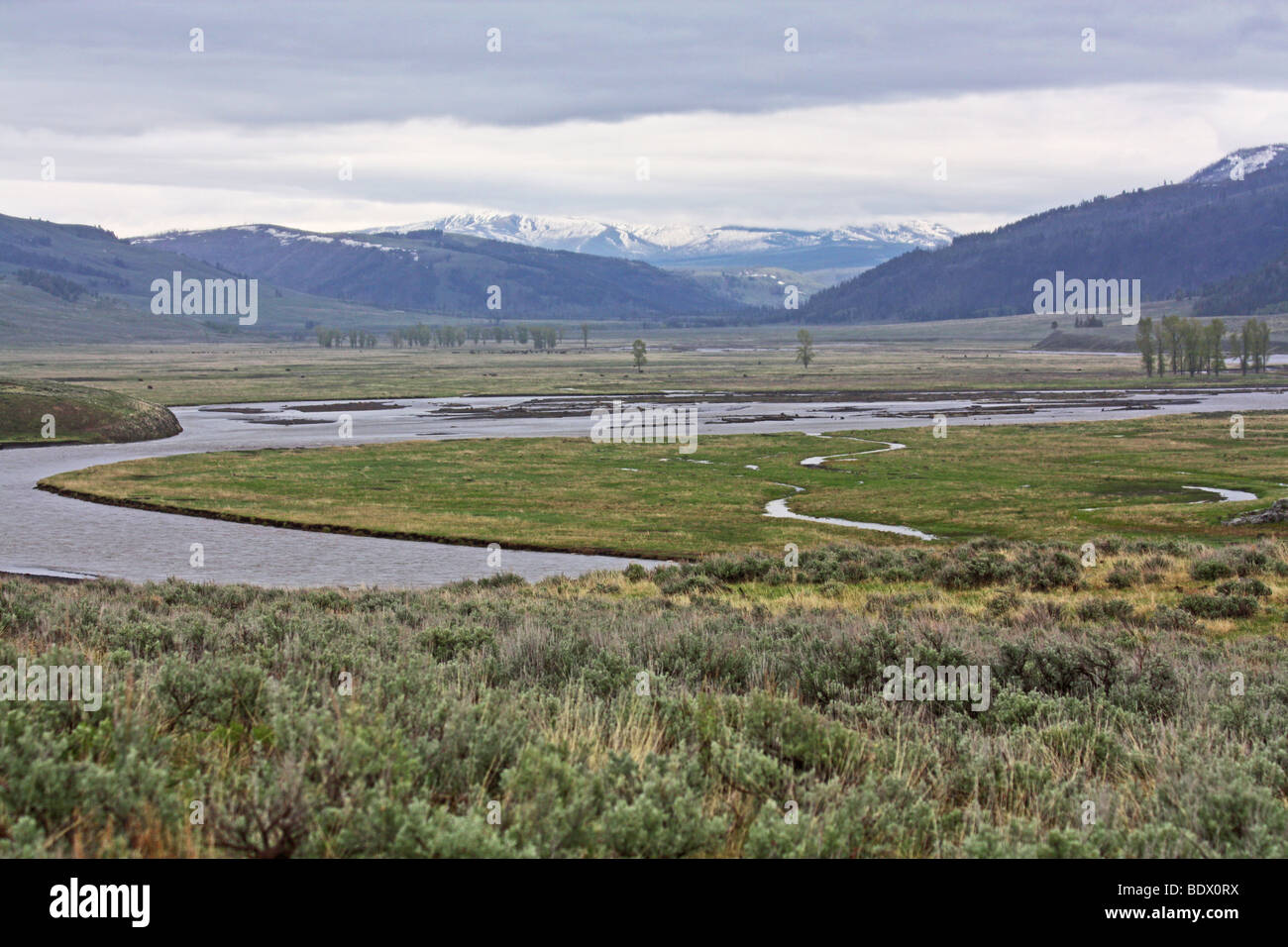 Lamar Valley, Yellowstone National Park, Wyoming, USA Stock Photo