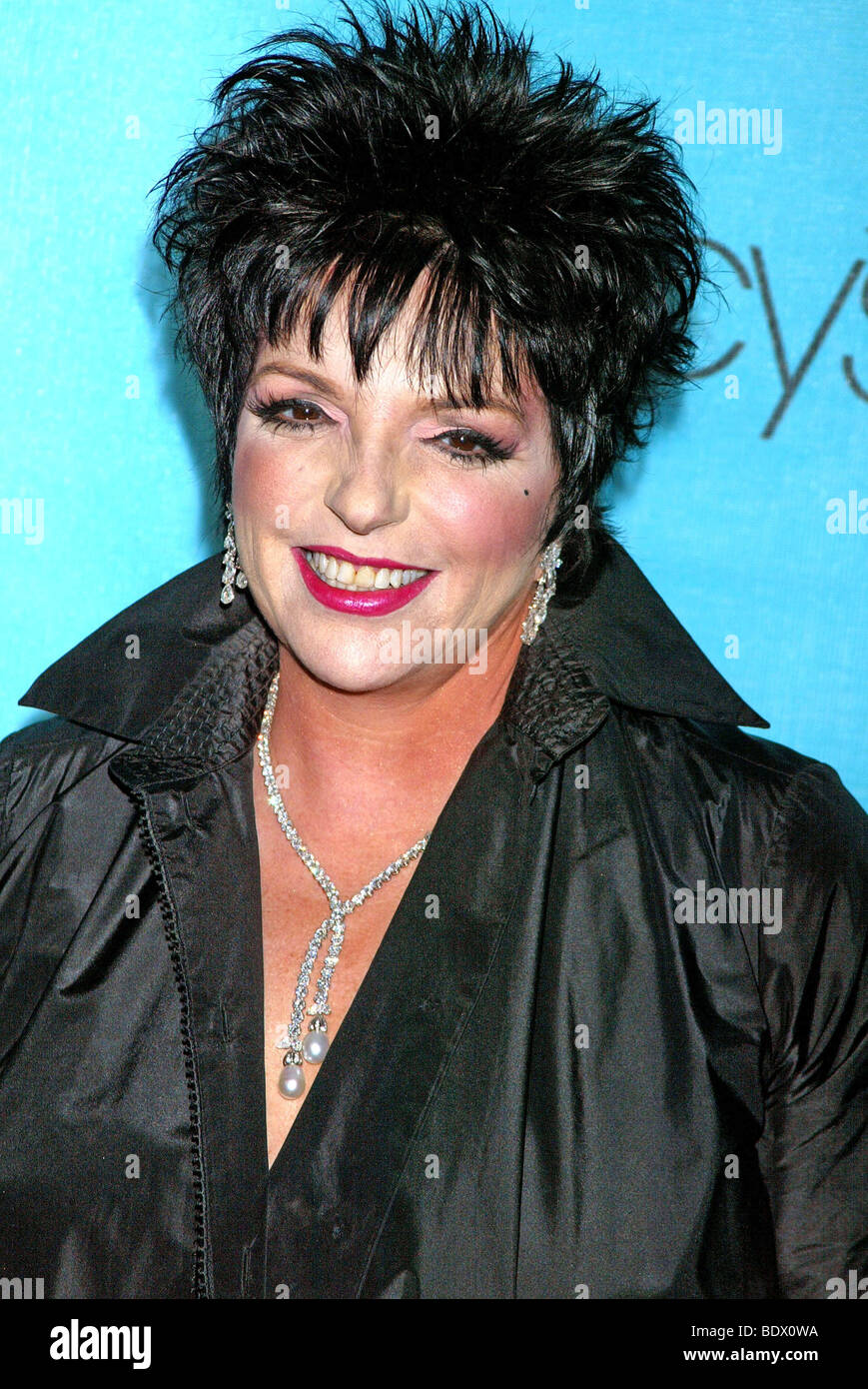 Liza Minnelli Us Singer Actress And Daughter Of Judy Garland Stock Photo Alamy