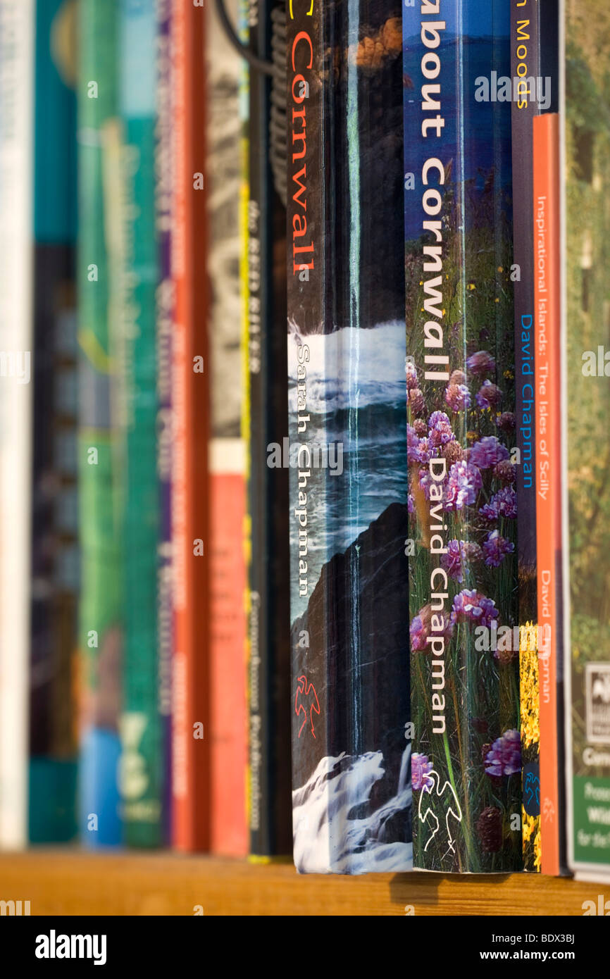 books on a shelf; by david chapman Stock Photo