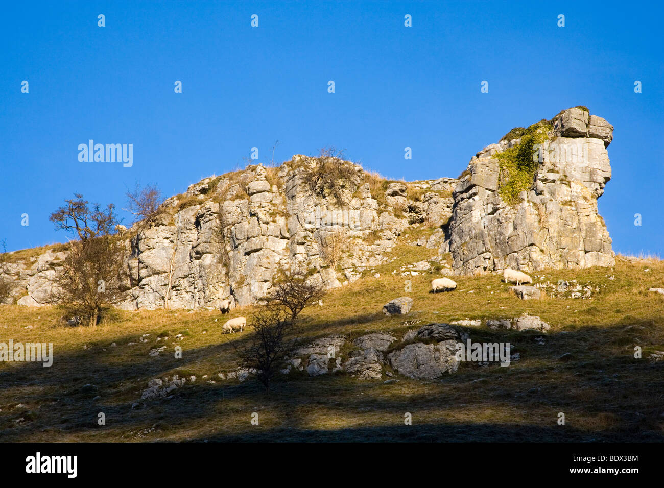 A Limestone Crag against a blue sky above Ricklow Dale in the white peak in Derbyshire Stock Photo
