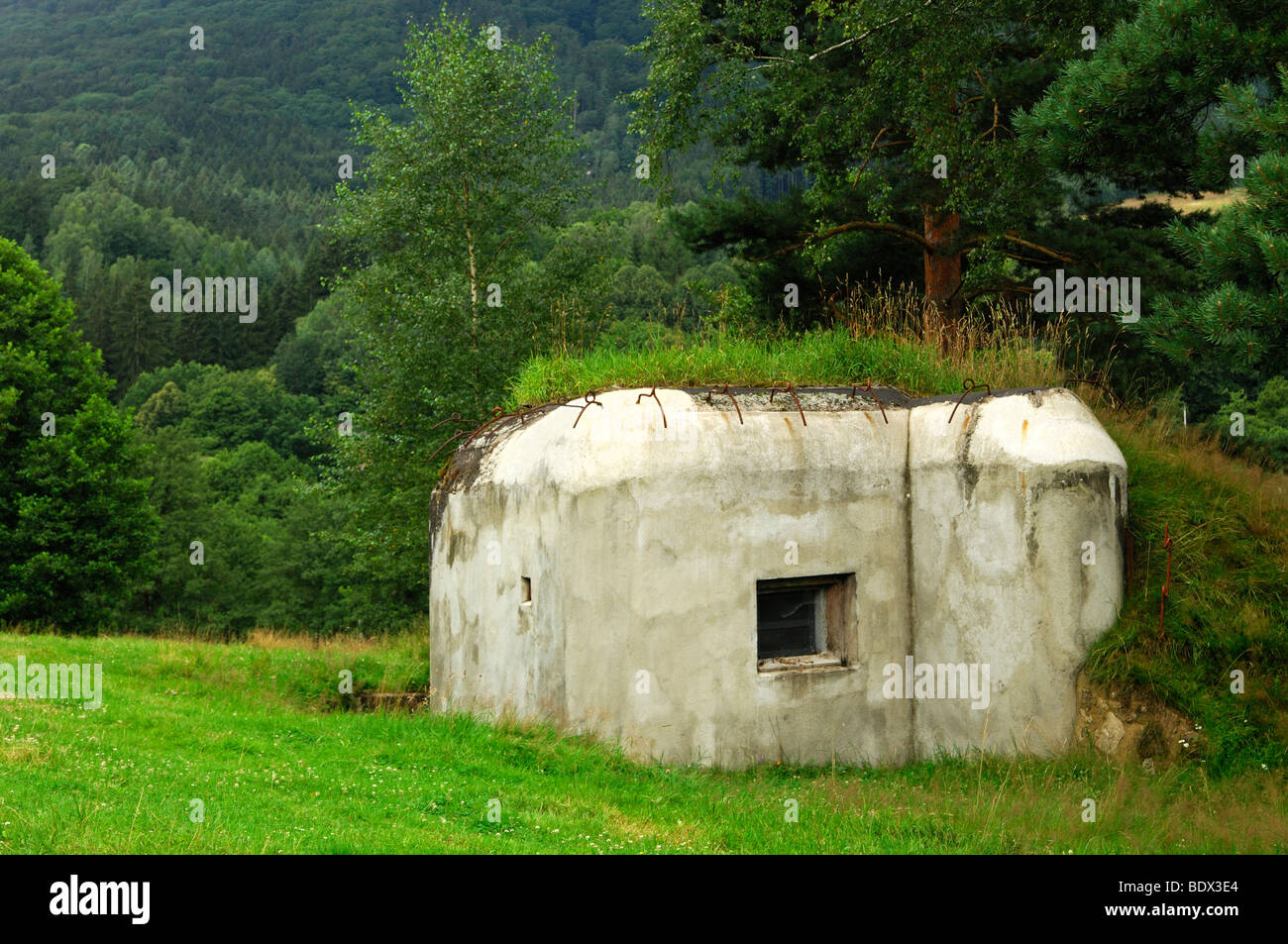 Military bunker of the Schoeber Line, line of concrete fortifications from World War II, Srbská Kamenice, Bohemian Switzerland, Stock Photo