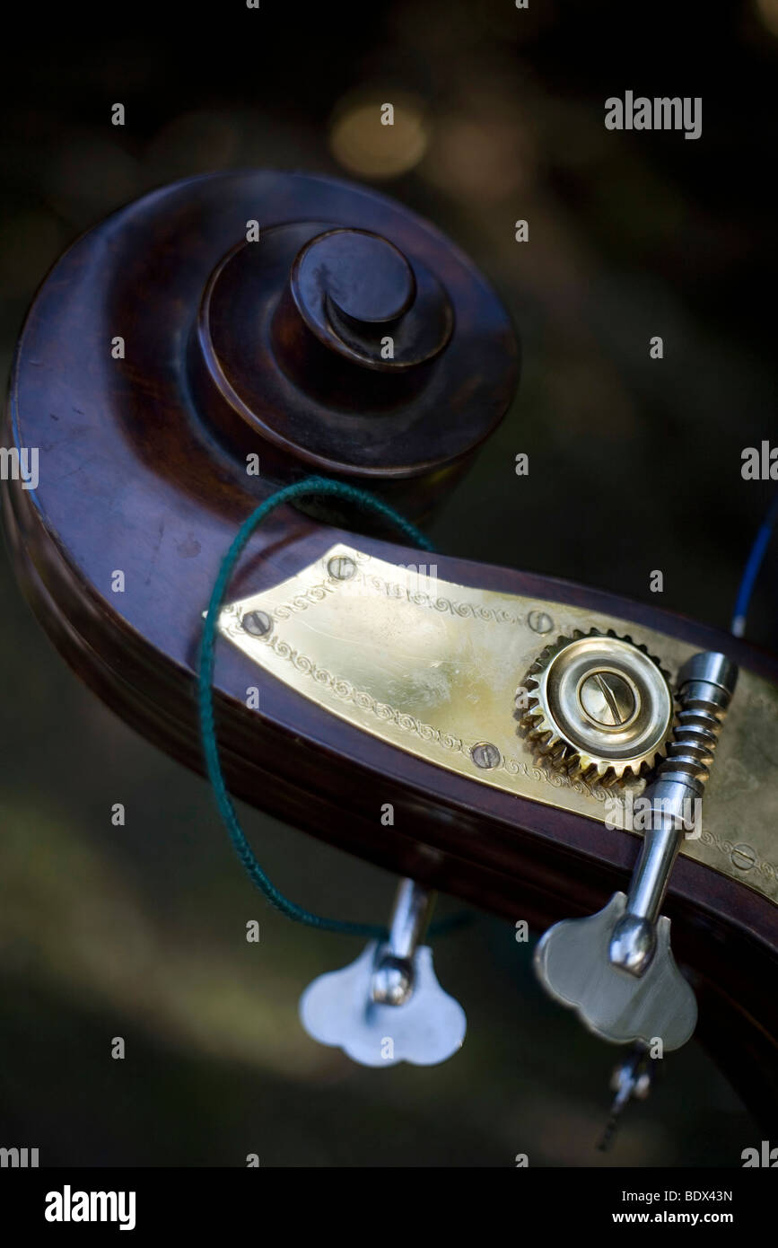 Detail of the neck of a double bass in Pec, Hungary. Stock Photo