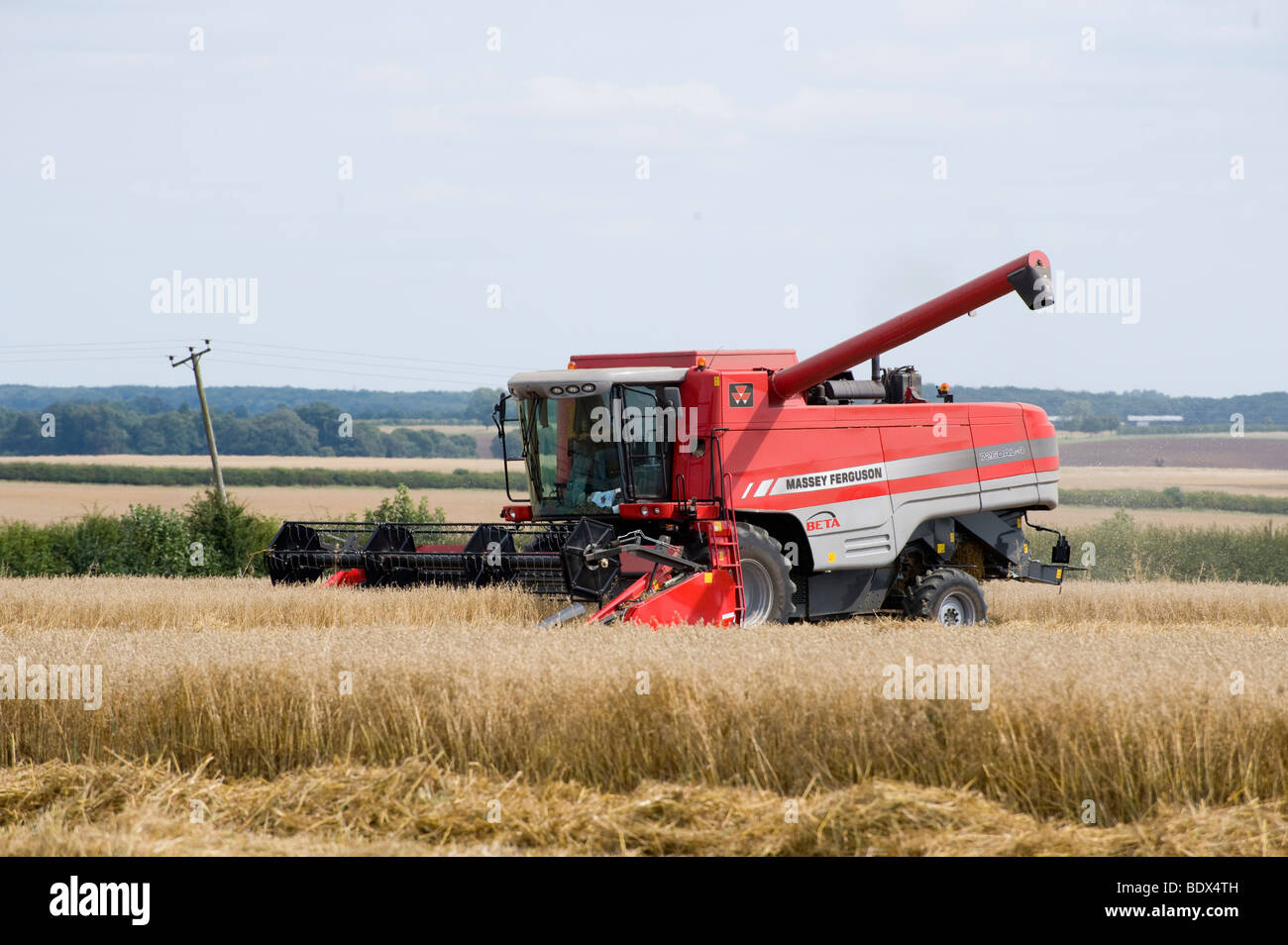 Massey Ferguson 7260AL-4 Combine harvester at harvesting time, England ...