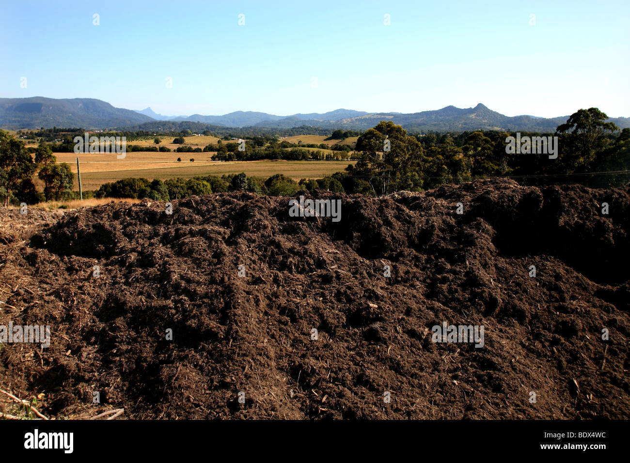 A large heap of recycled Mulch lies ready for further application in a Council rubbish dump at Byron bay Australia. Stock Photo