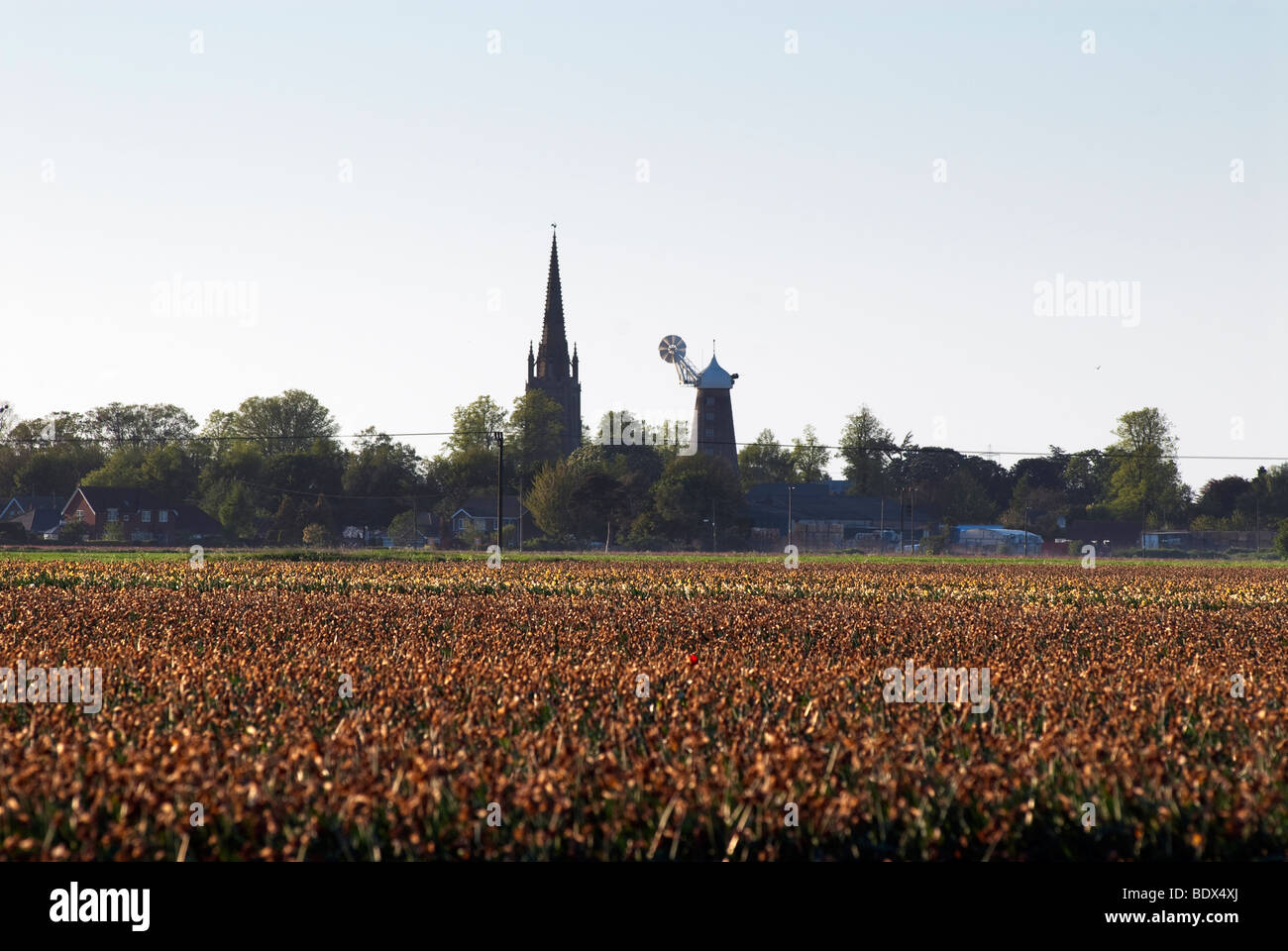 Moulton mill spalding hires stock photography and images Alamy