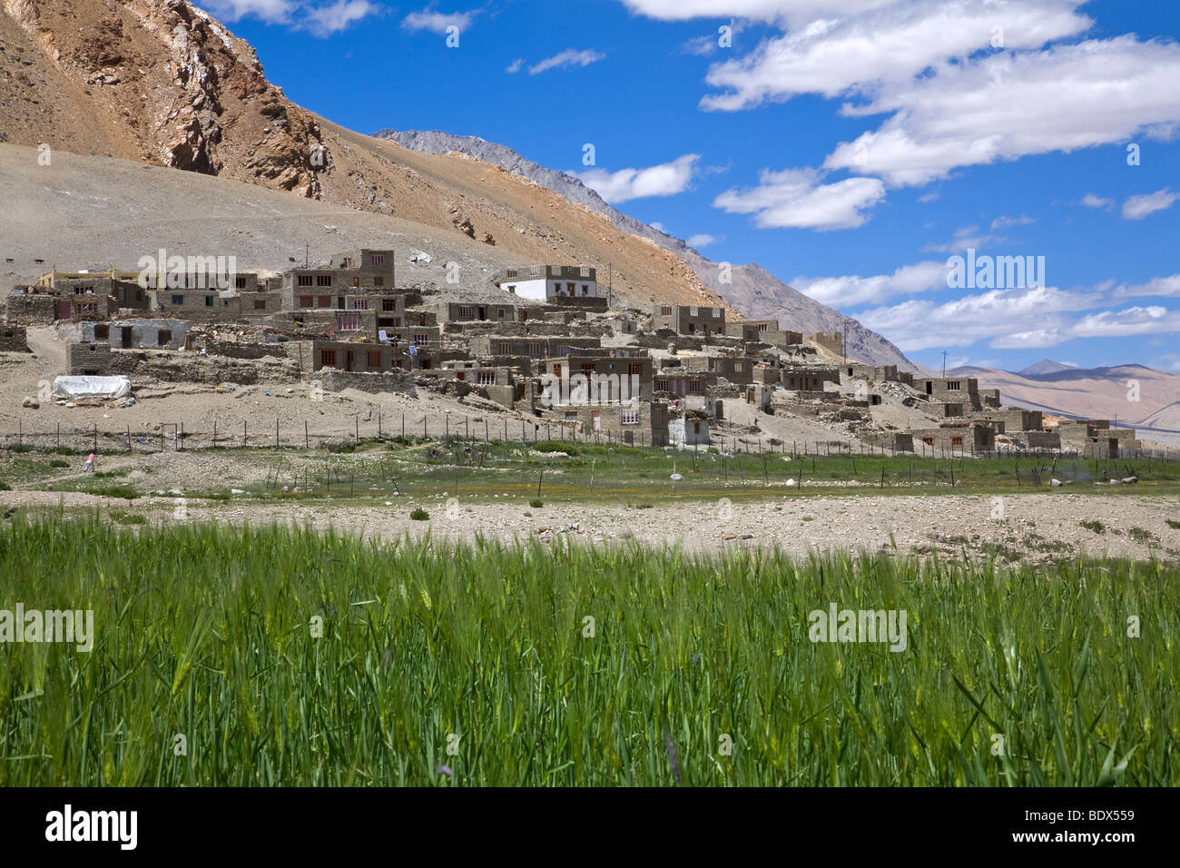 Korzok village. Ladakh. India Stock Photo - Alamy