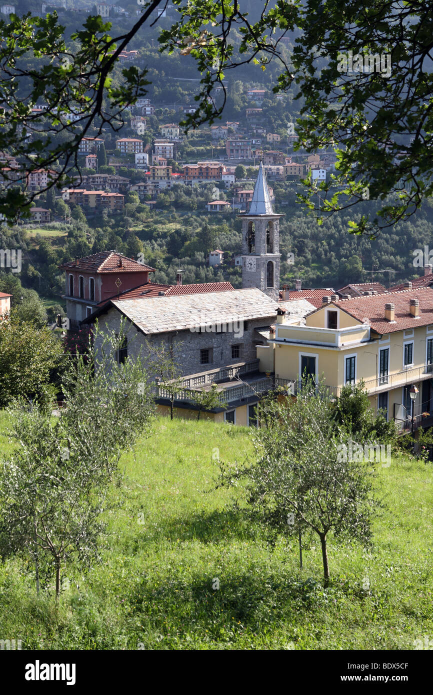 The church of Sant' Antonio, with olive trees in the foreground, Vezio Varenna, Lombardy, Italy, Europe Stock Photo