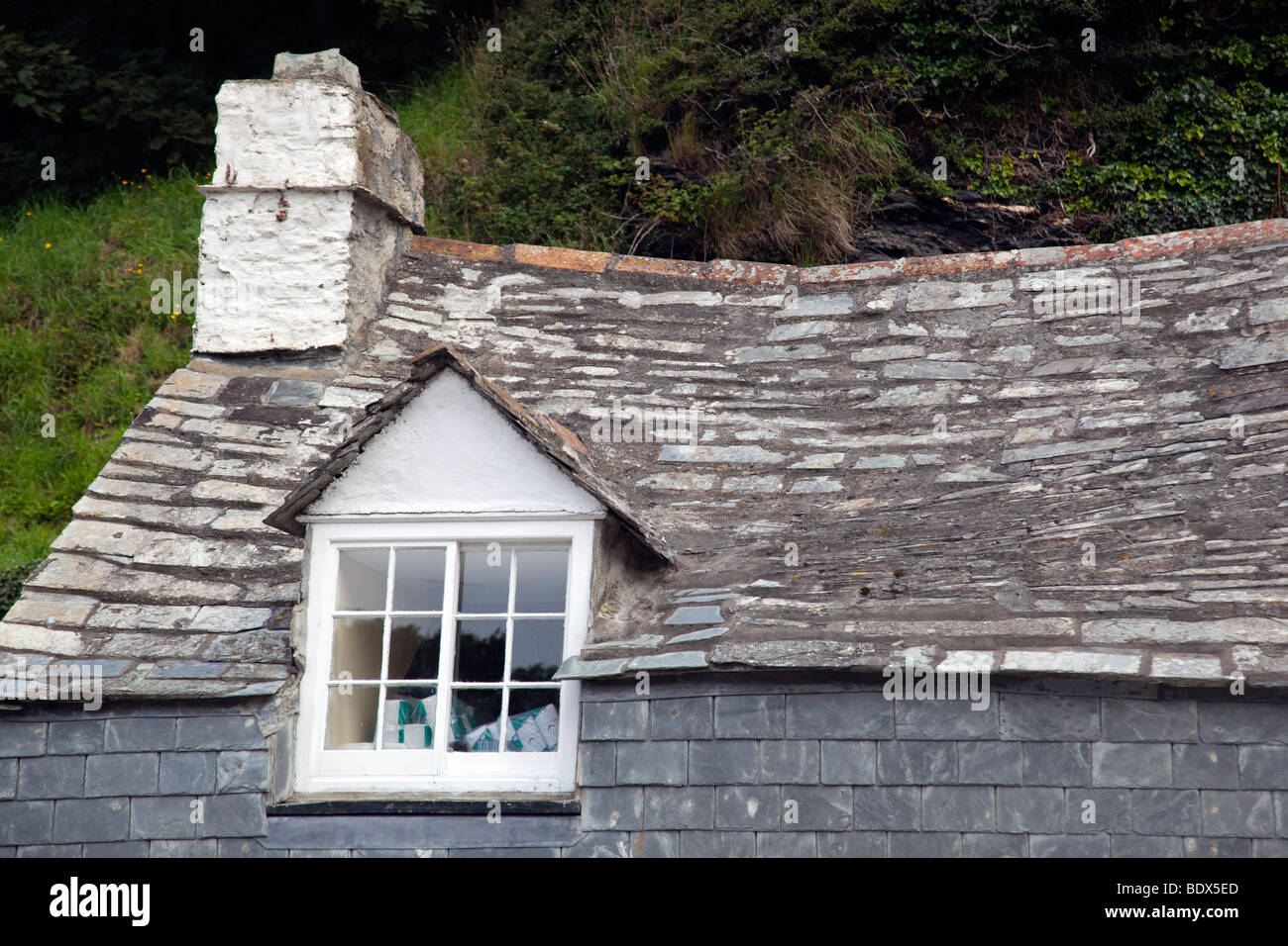 cottage roof; boscastle; cornwall Stock Photo